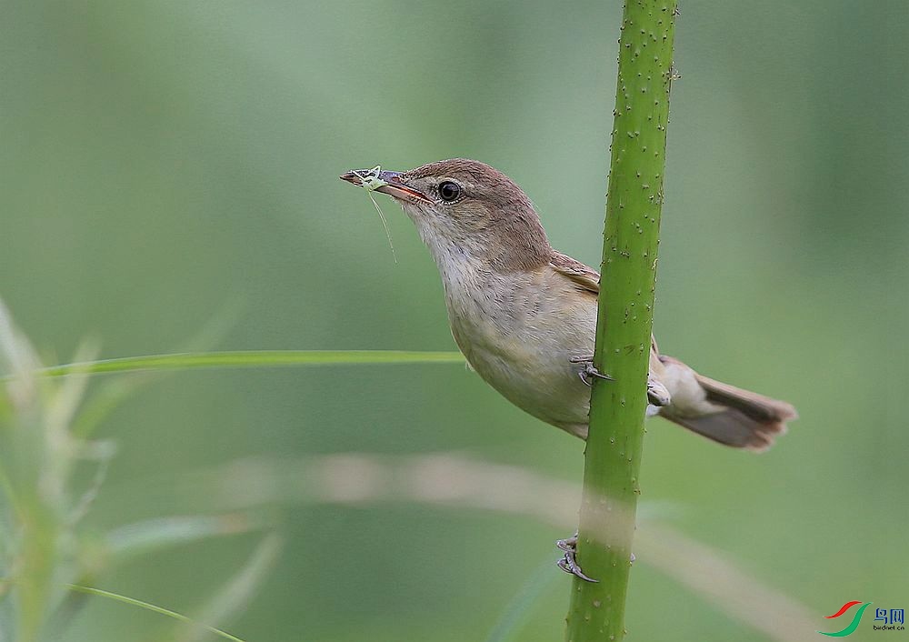 D72T0589.JPG