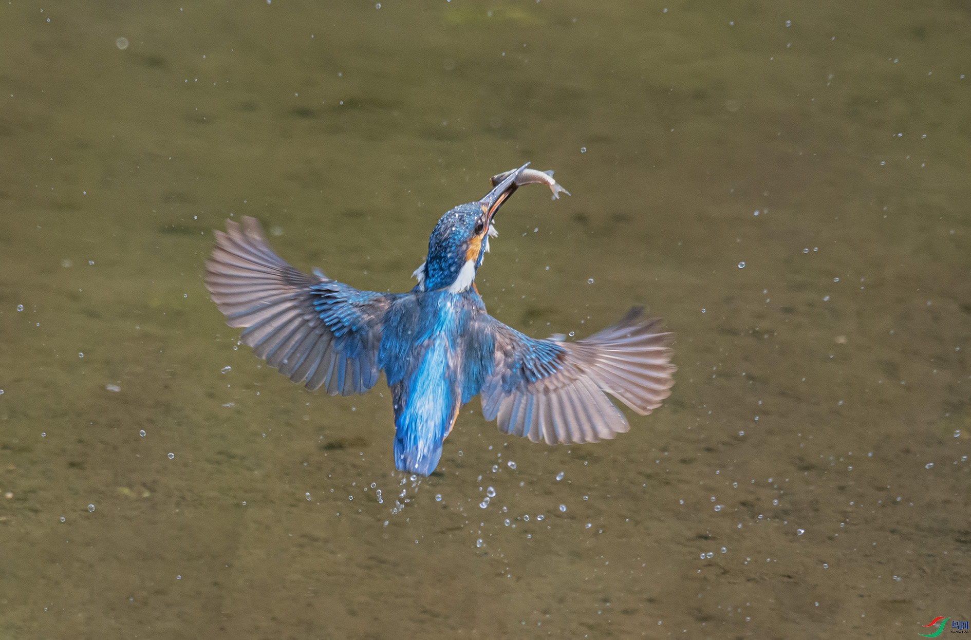 DSC_3941_��ͼ�� ����.jpg