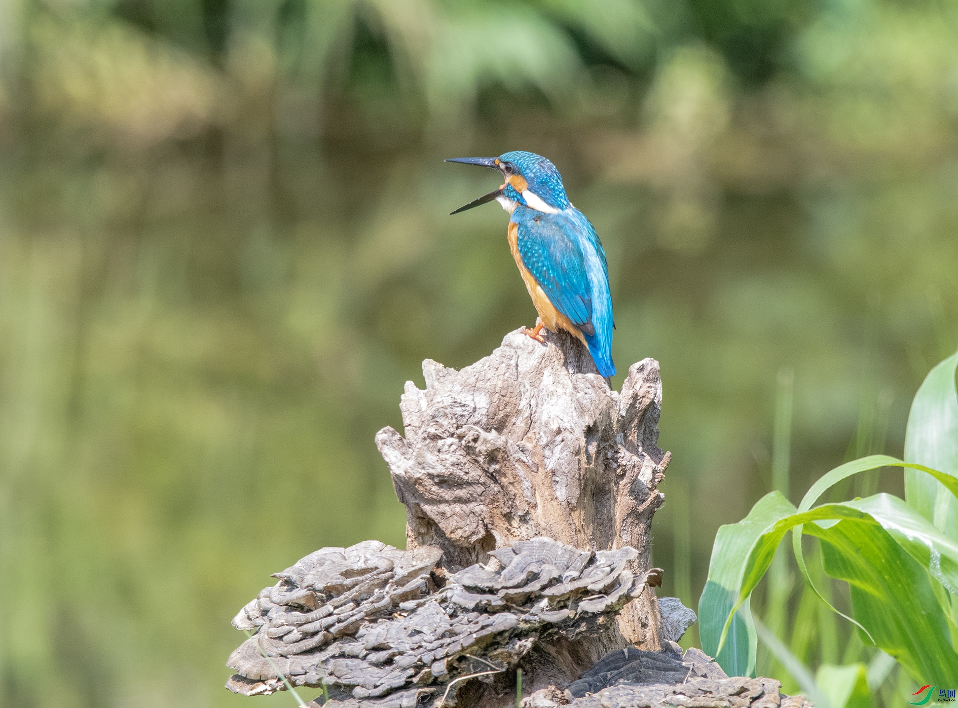 DSC_5064_��ͼ�� ����.jpg
