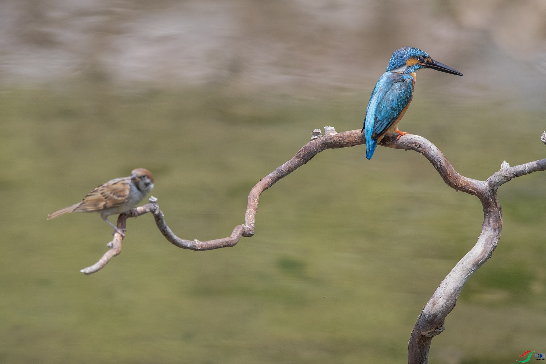 DSC_3752_��ͼ�� ����.jpg