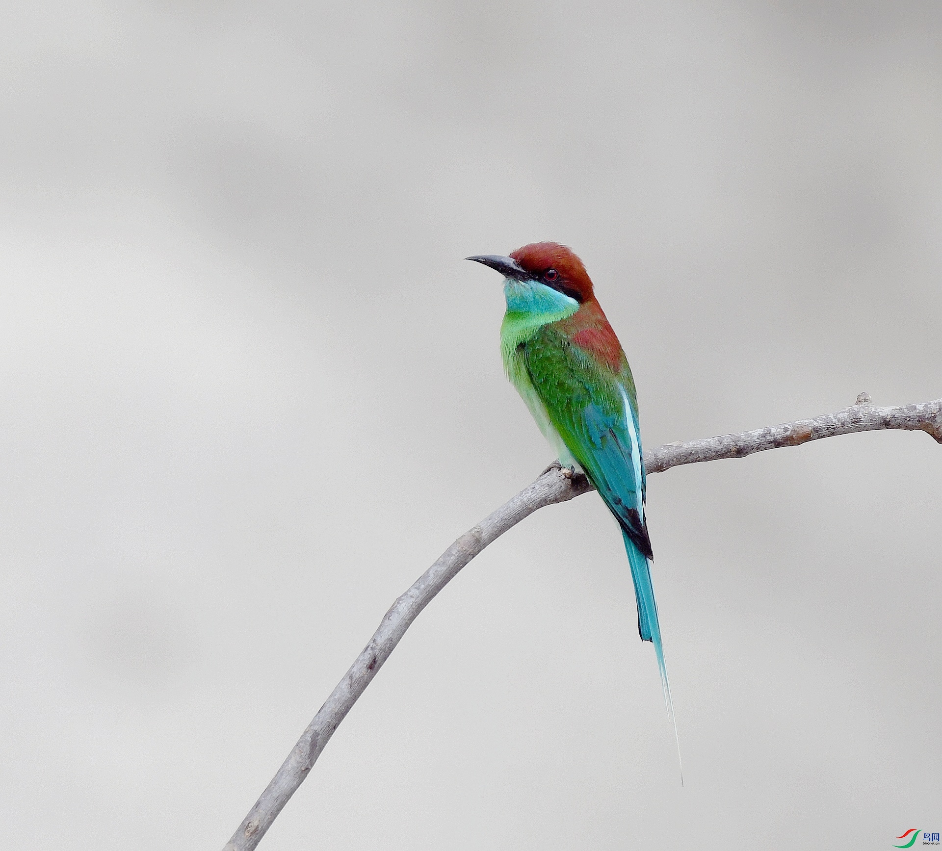 DSC_0414.jpg