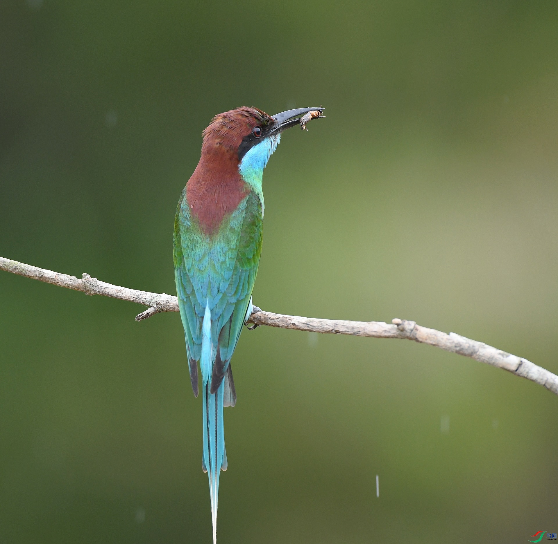 DSC_1705.jpg