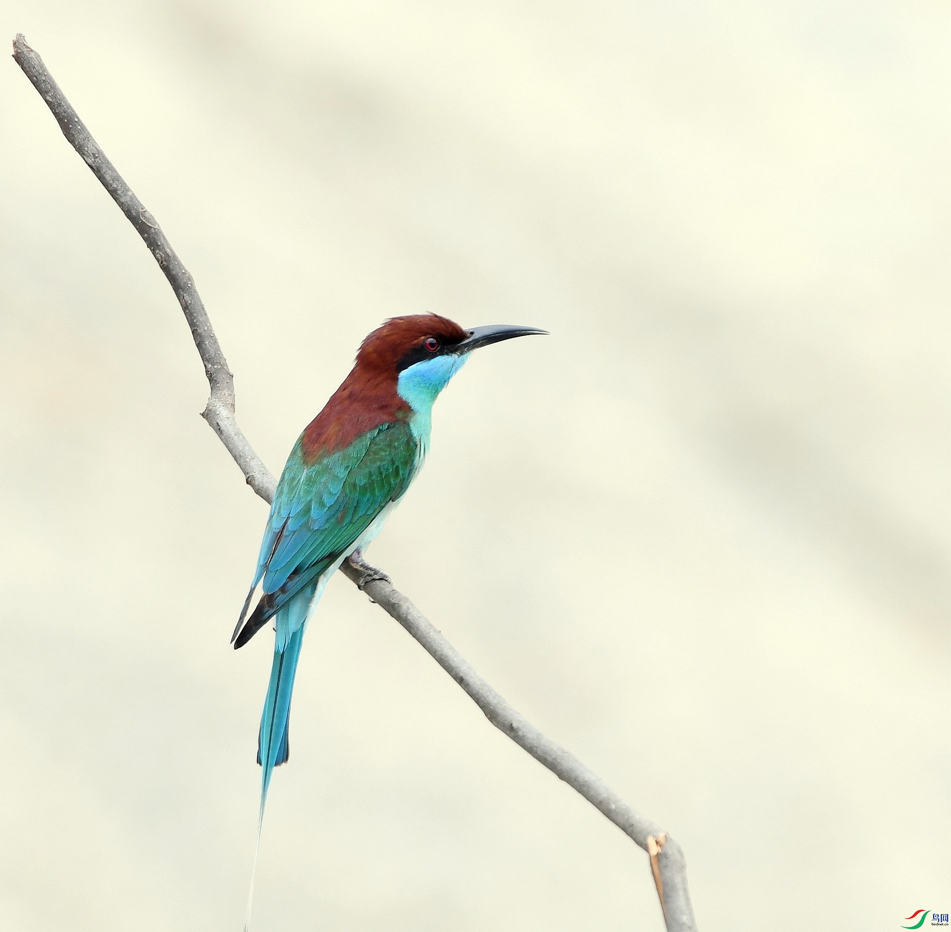 DSC_0327.jpg