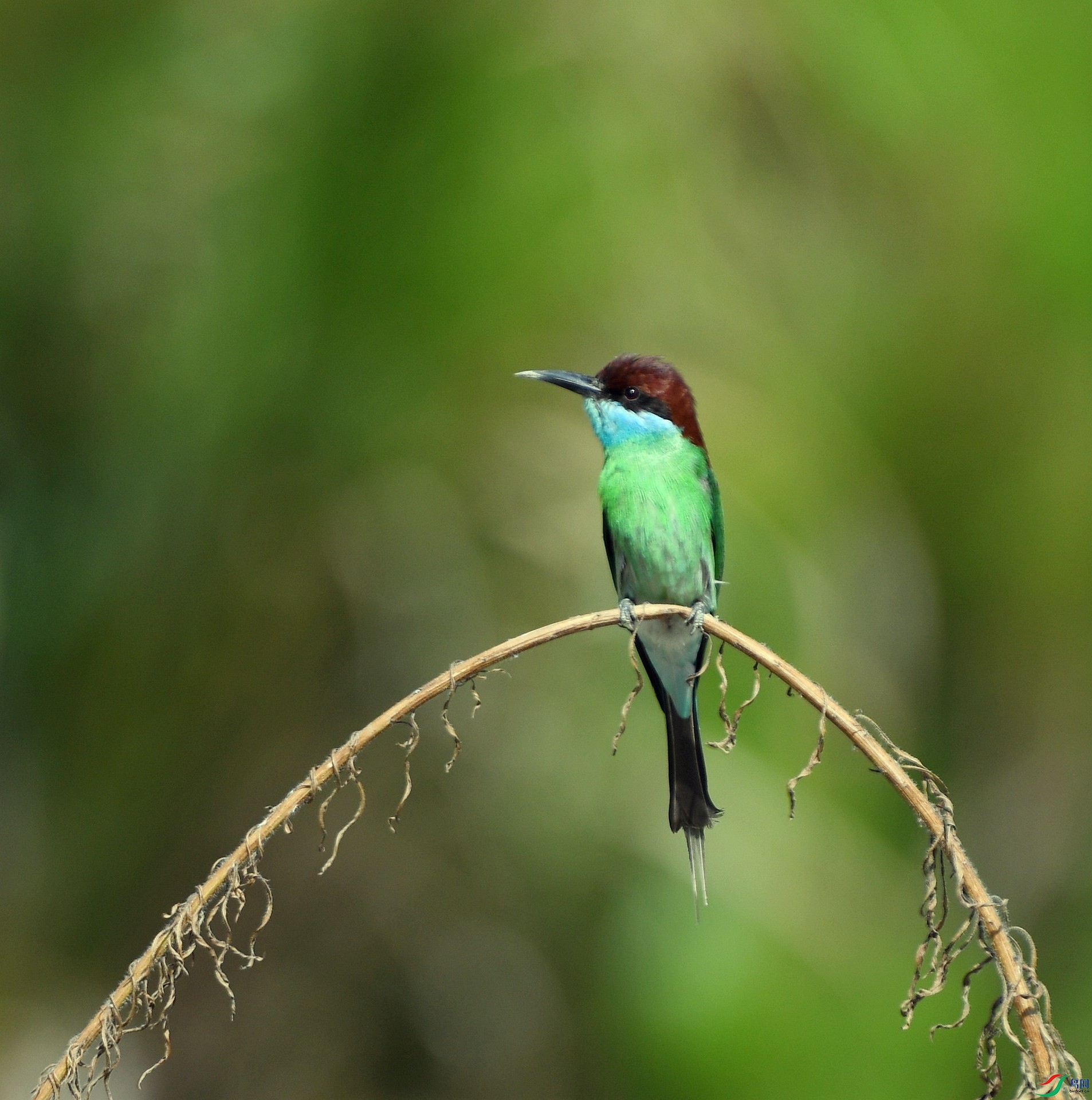DSC_5043.jpg