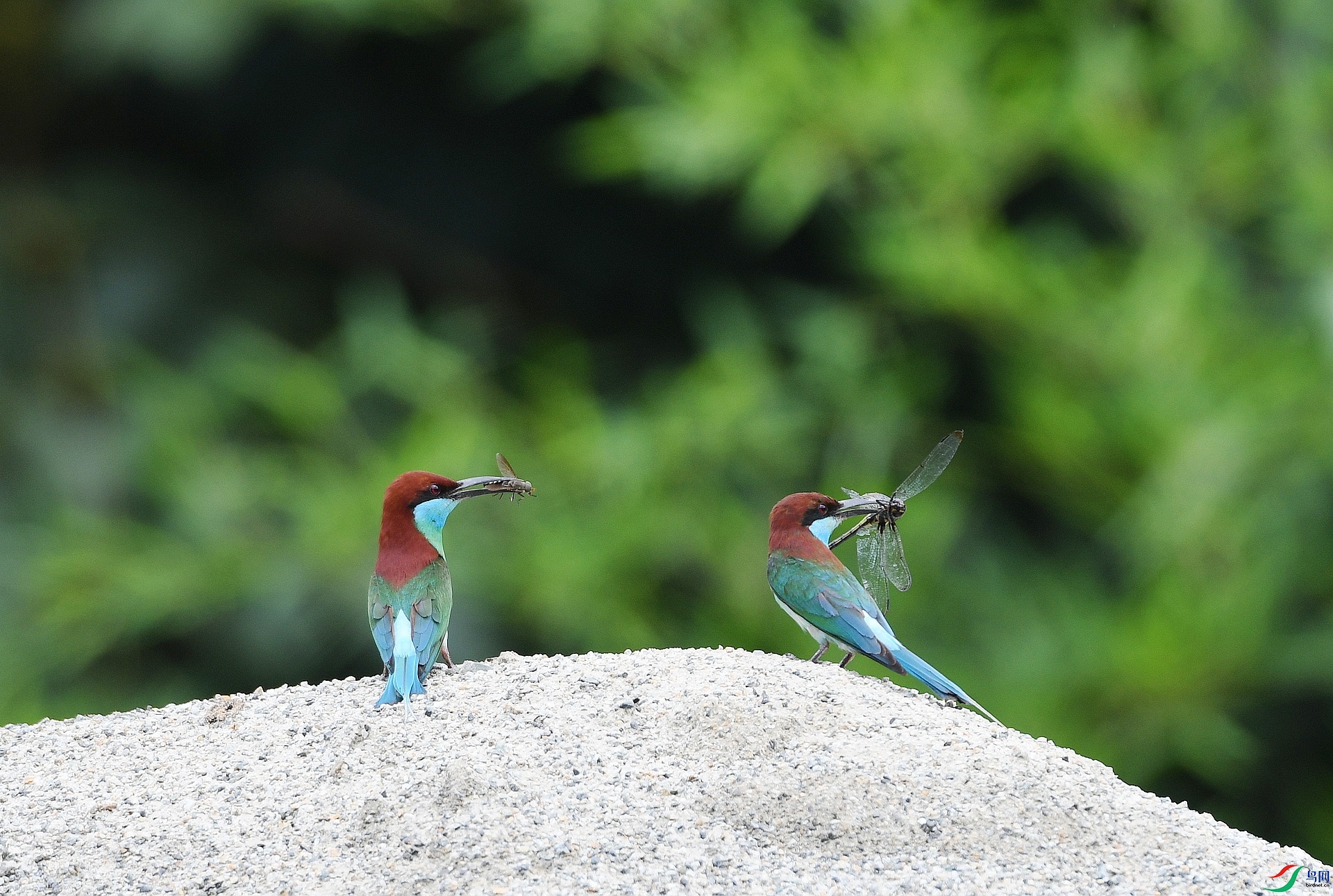 DSC_0365.jpg