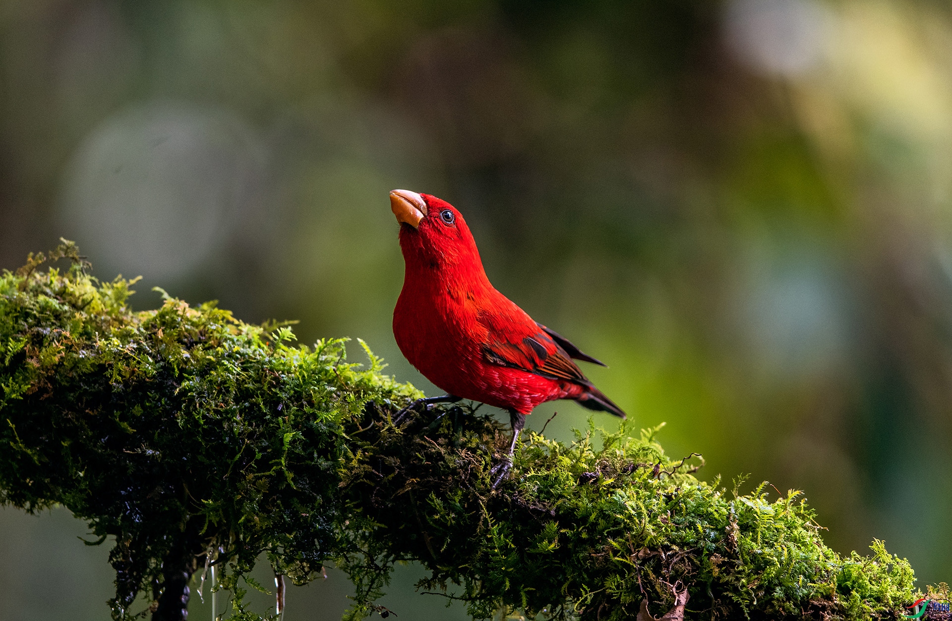 _AUU6902Ѫȸ(24.2.12).jpg