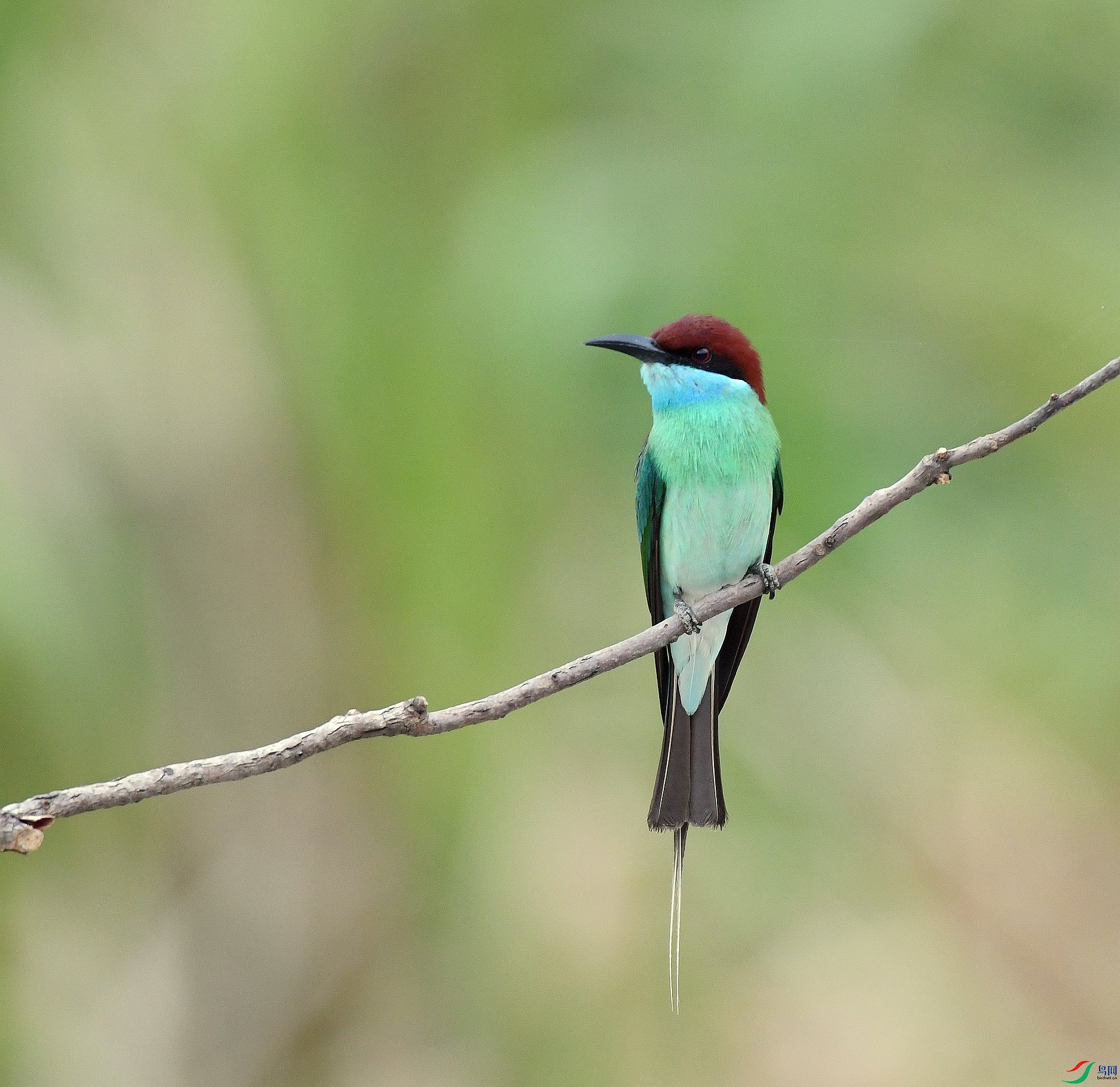 DSC_0397.jpg