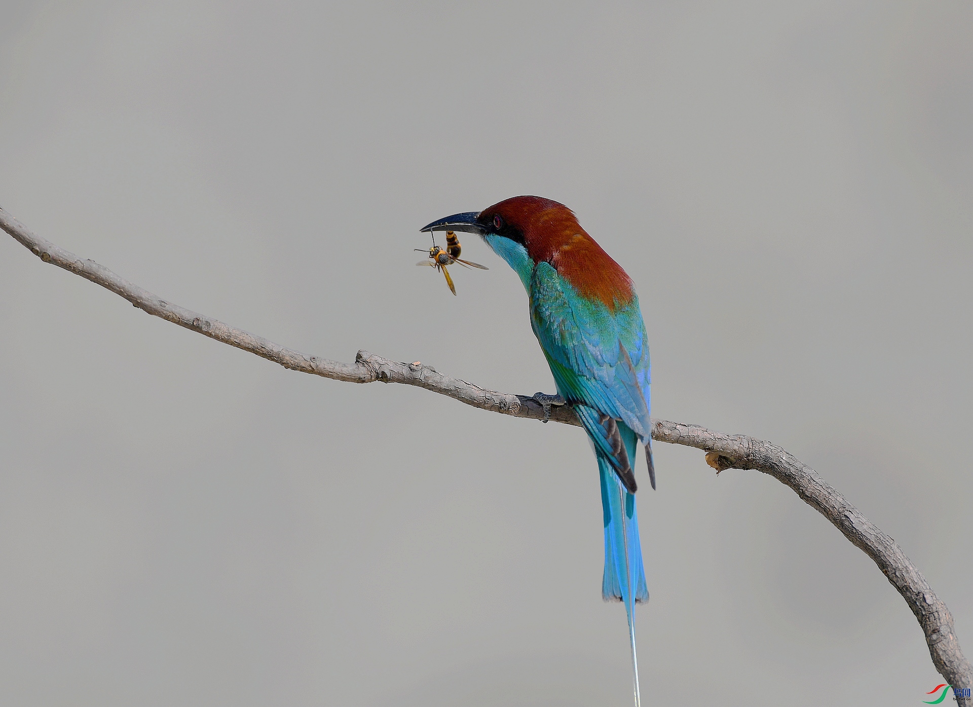 DSC_4941.jpg