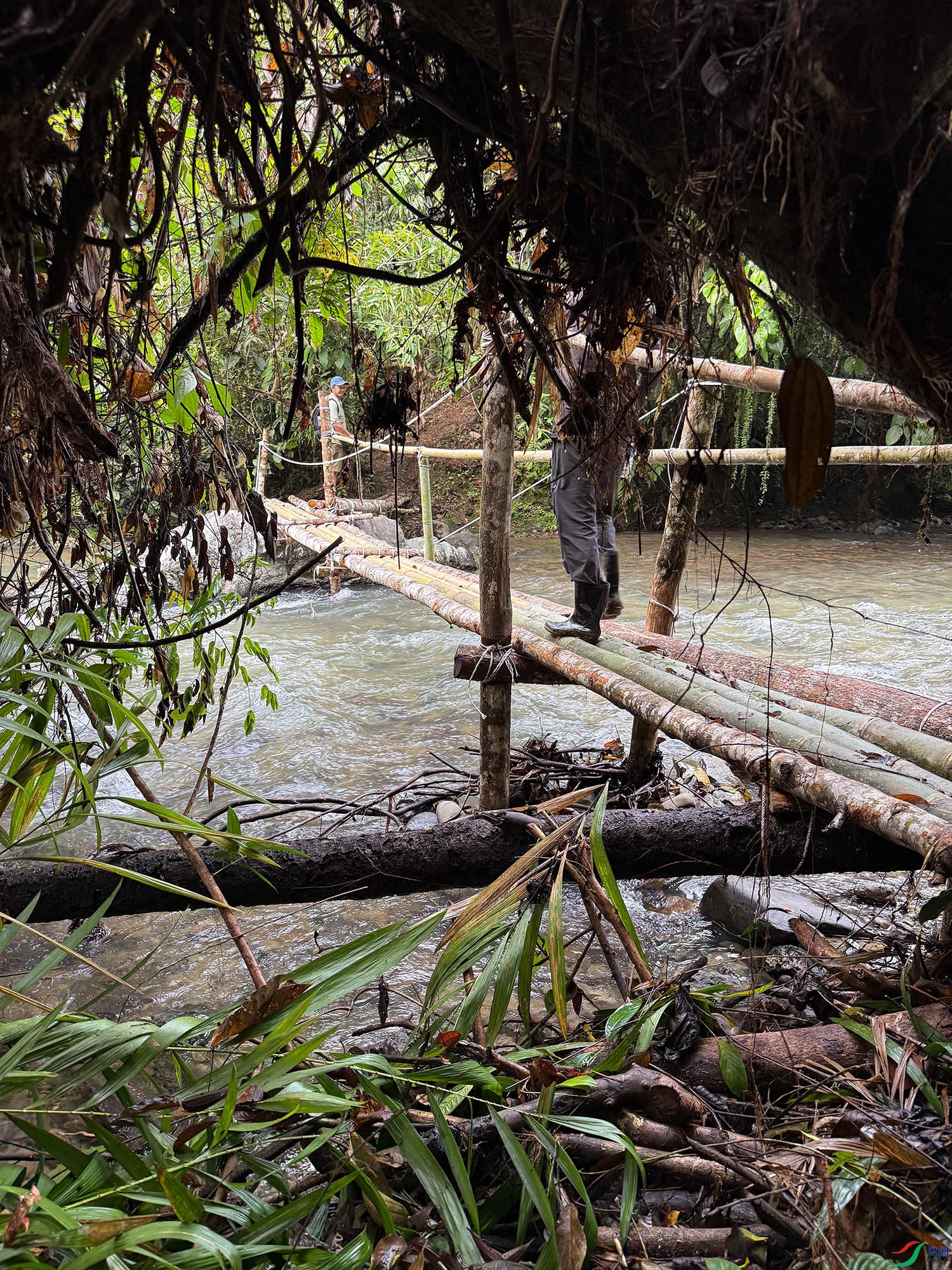 373.jpg