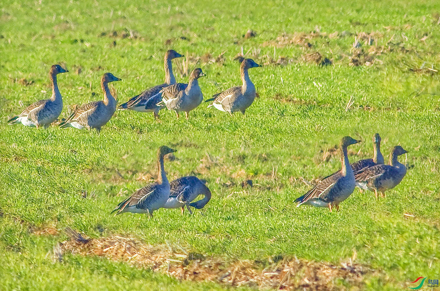IMG_9800.jpg