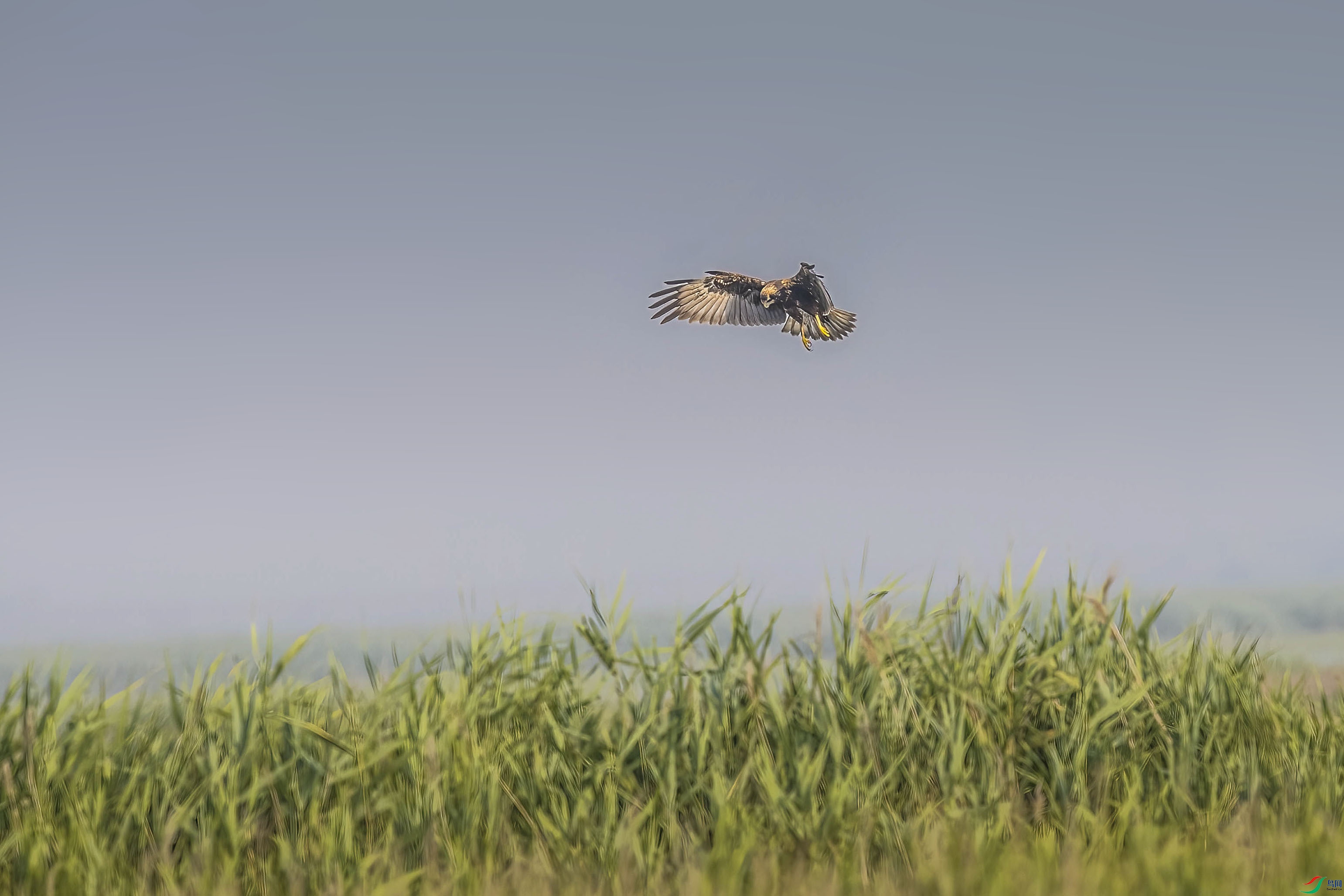 DSC_6738 ���� 2.jpg