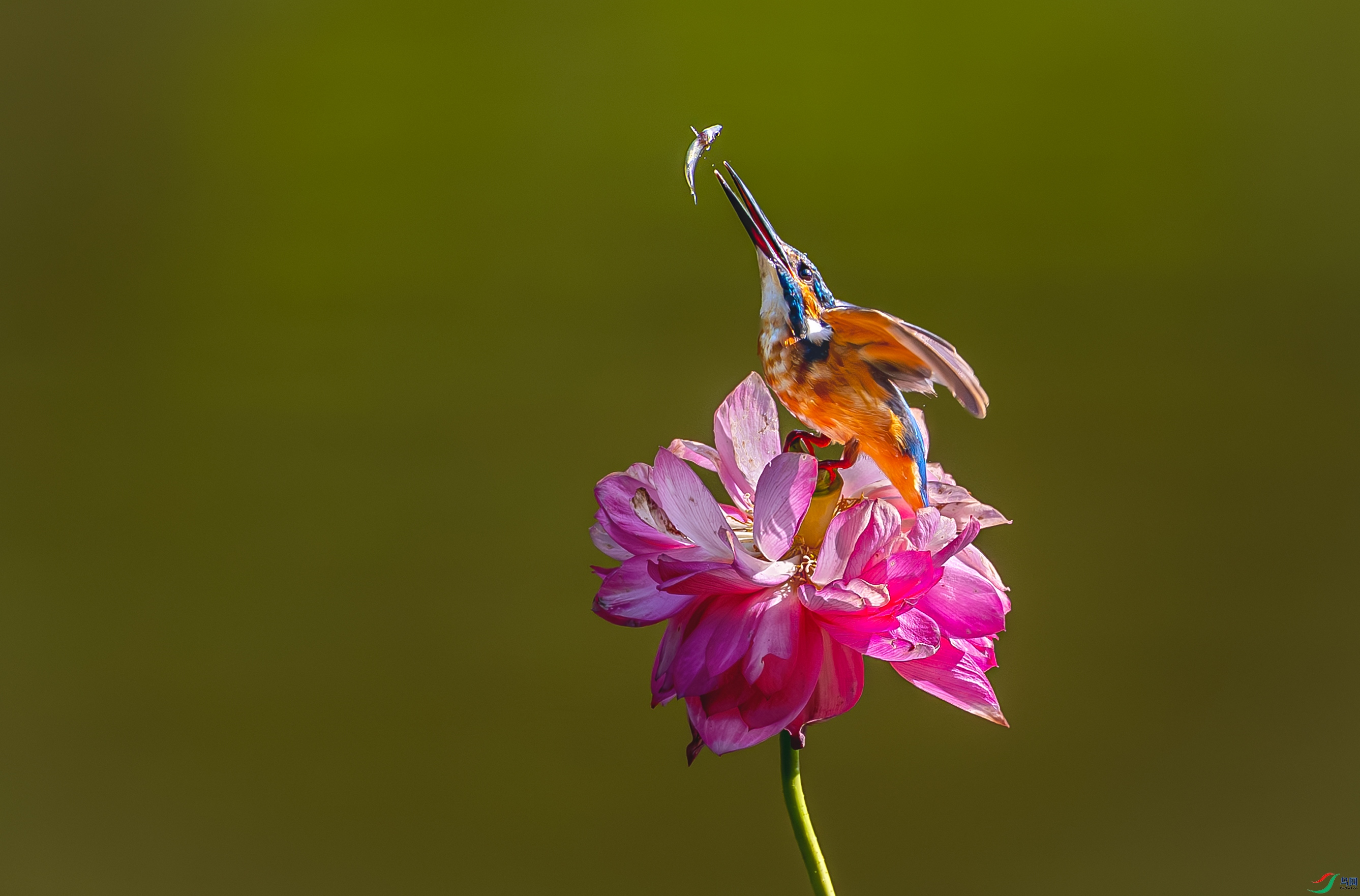_B9A5268-22.jpg