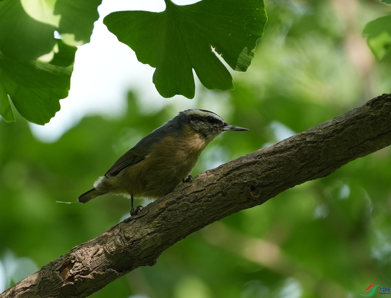 DSC03621_����_x.jpg