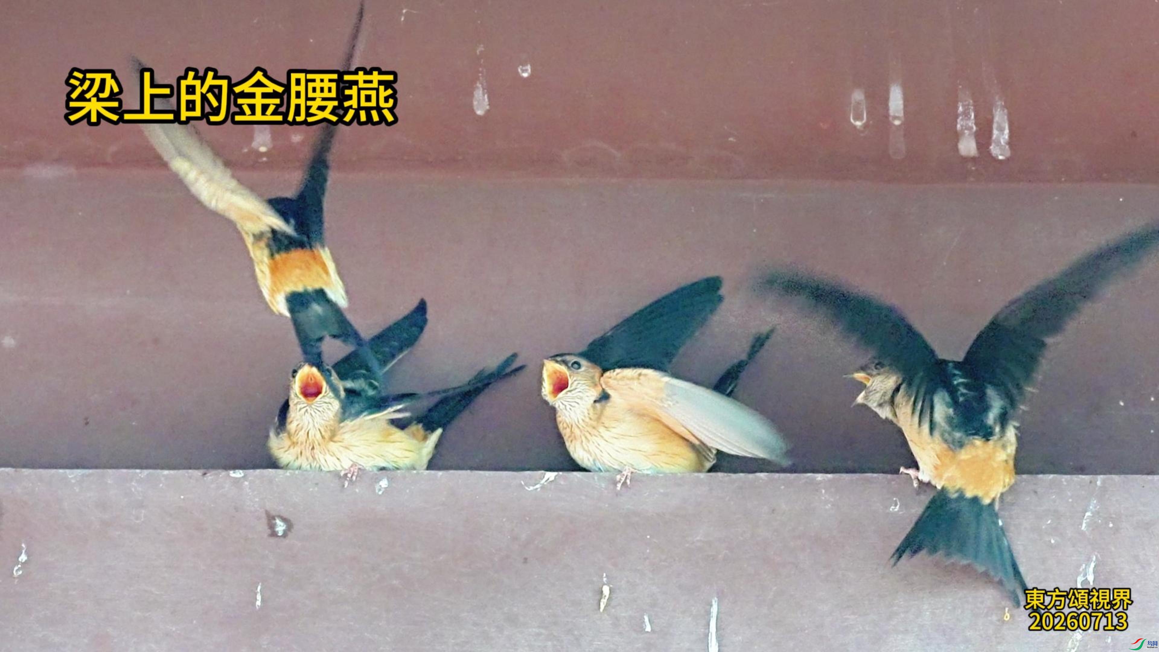 7��14�����ϵĽ�����-����.jpg