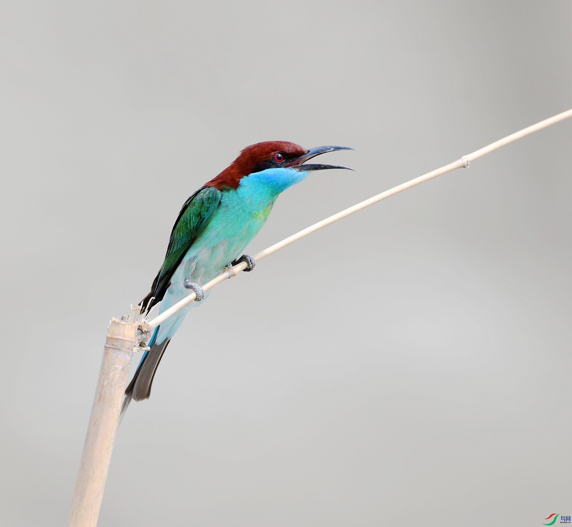 DSC_4196.jpg
