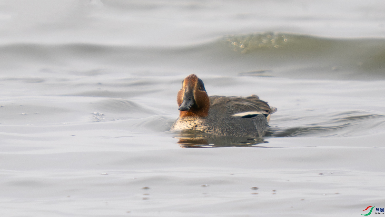 S1007419.jpg