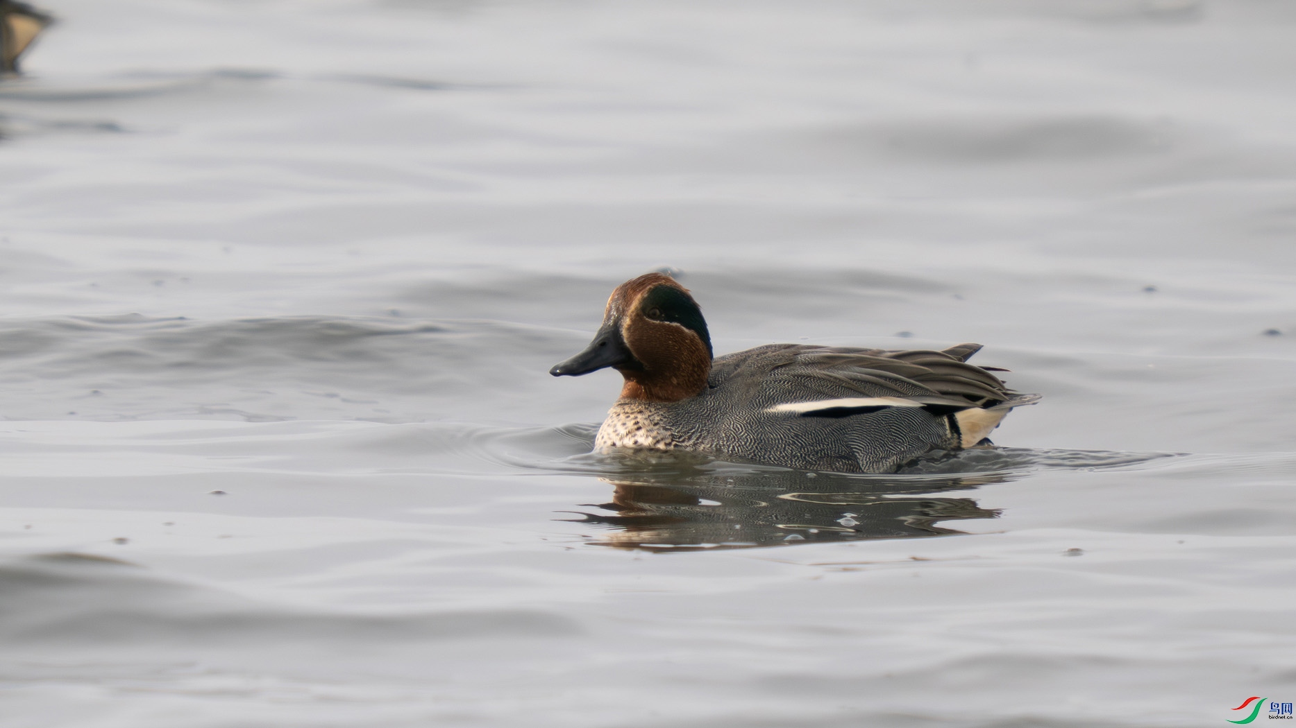 S1007444.jpg