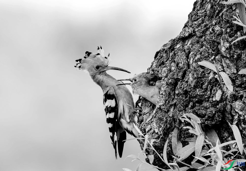 e5513_����.jpg