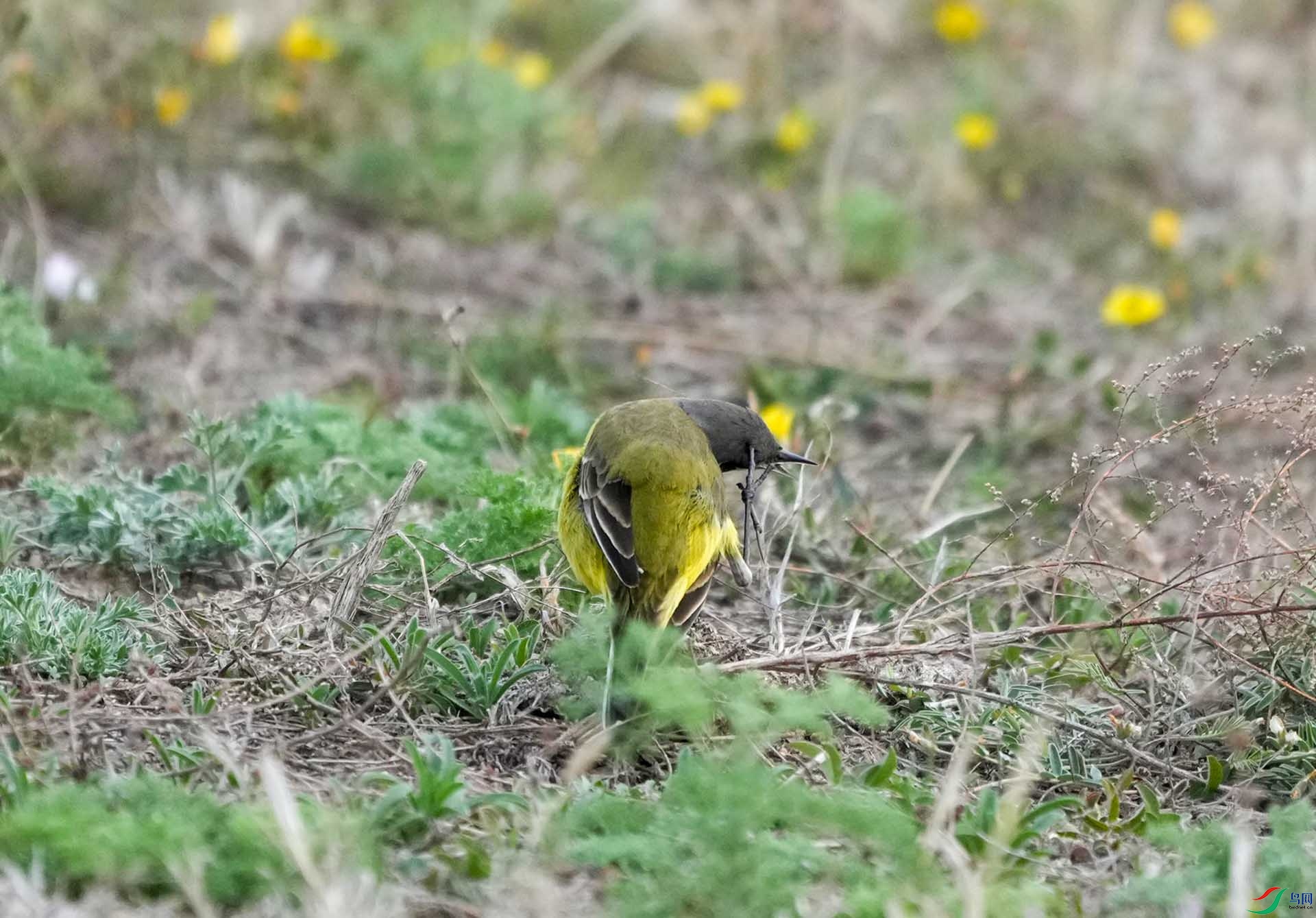 12.JPG