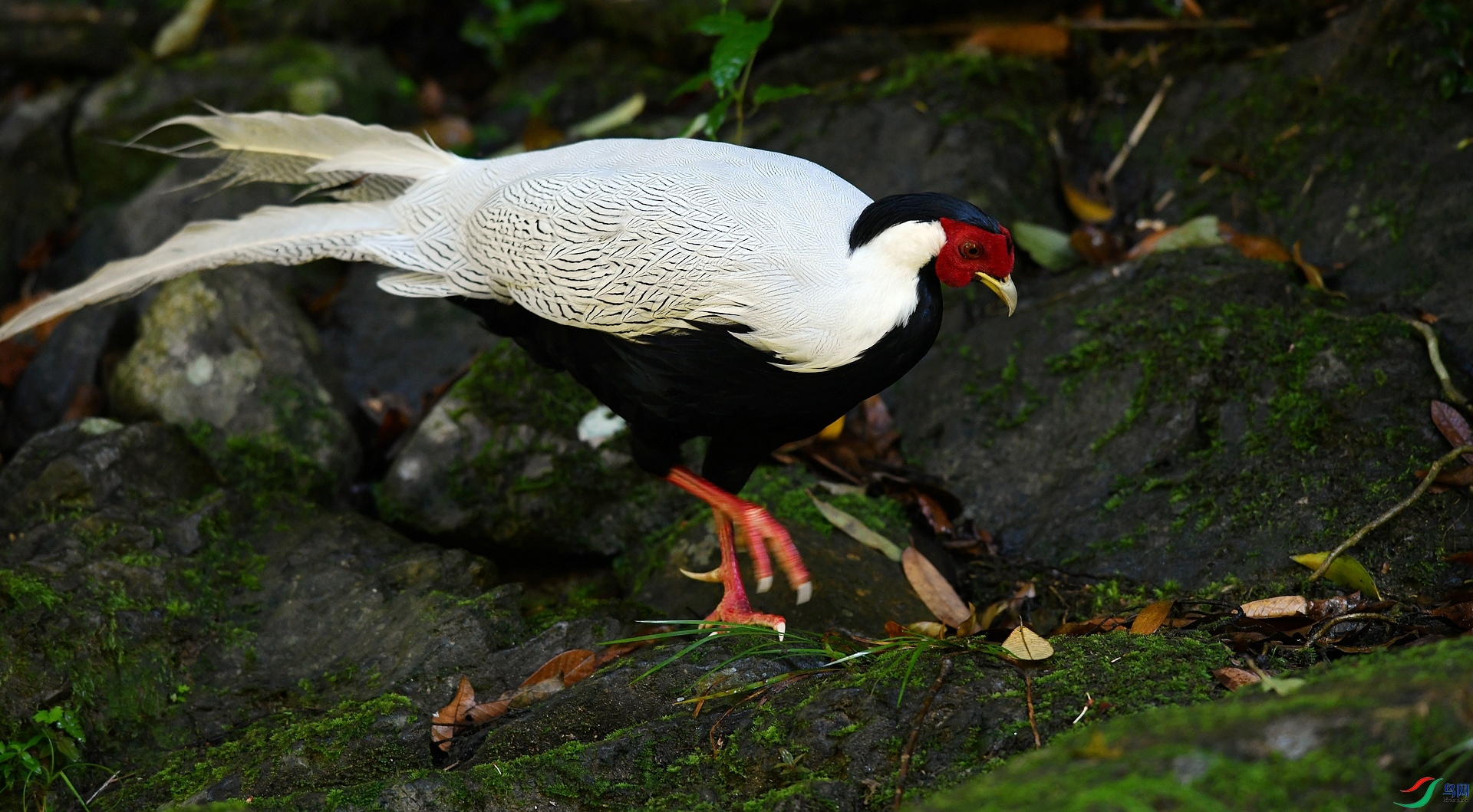 DSC_4446.jpg