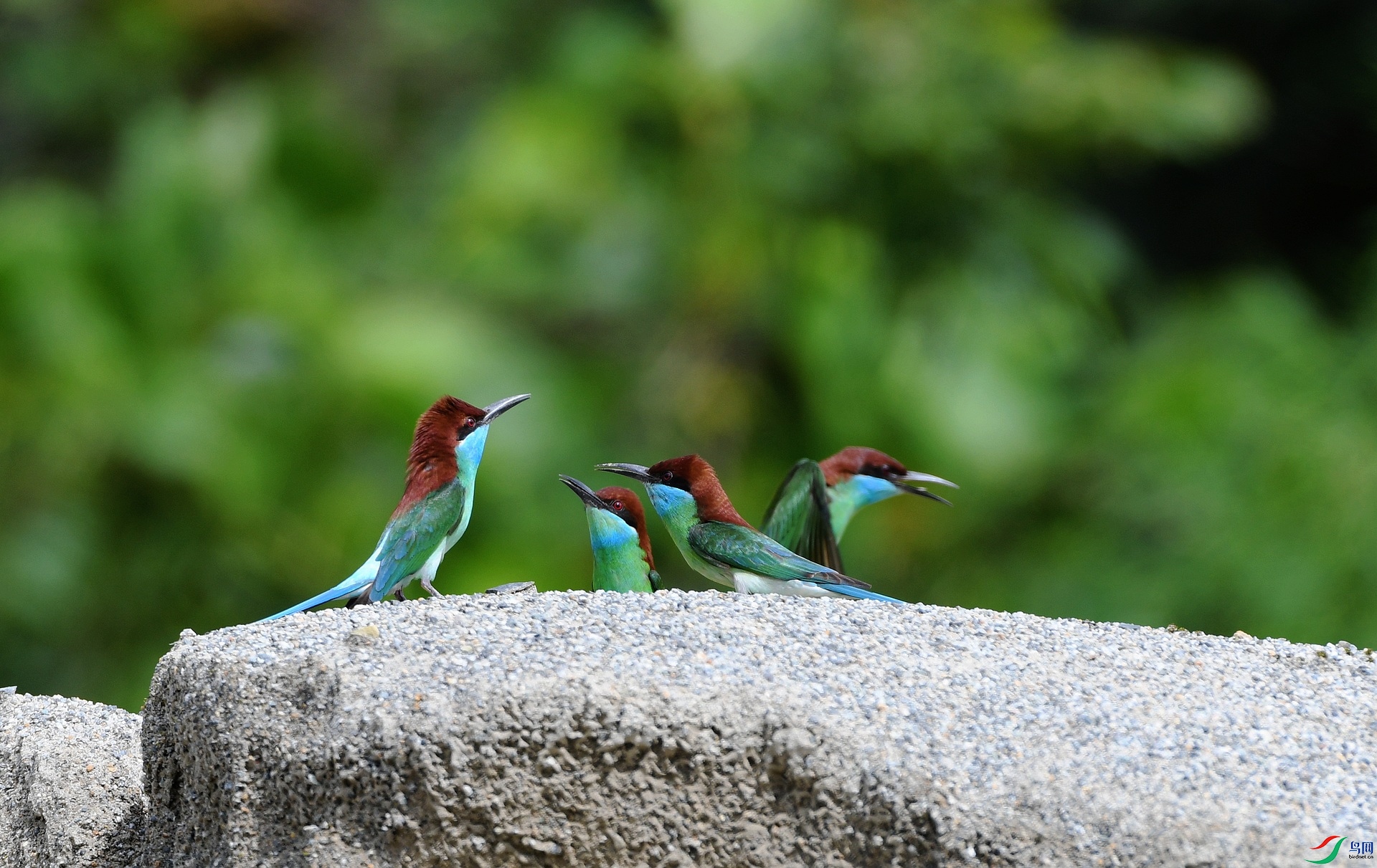 DSC_4142.jpg