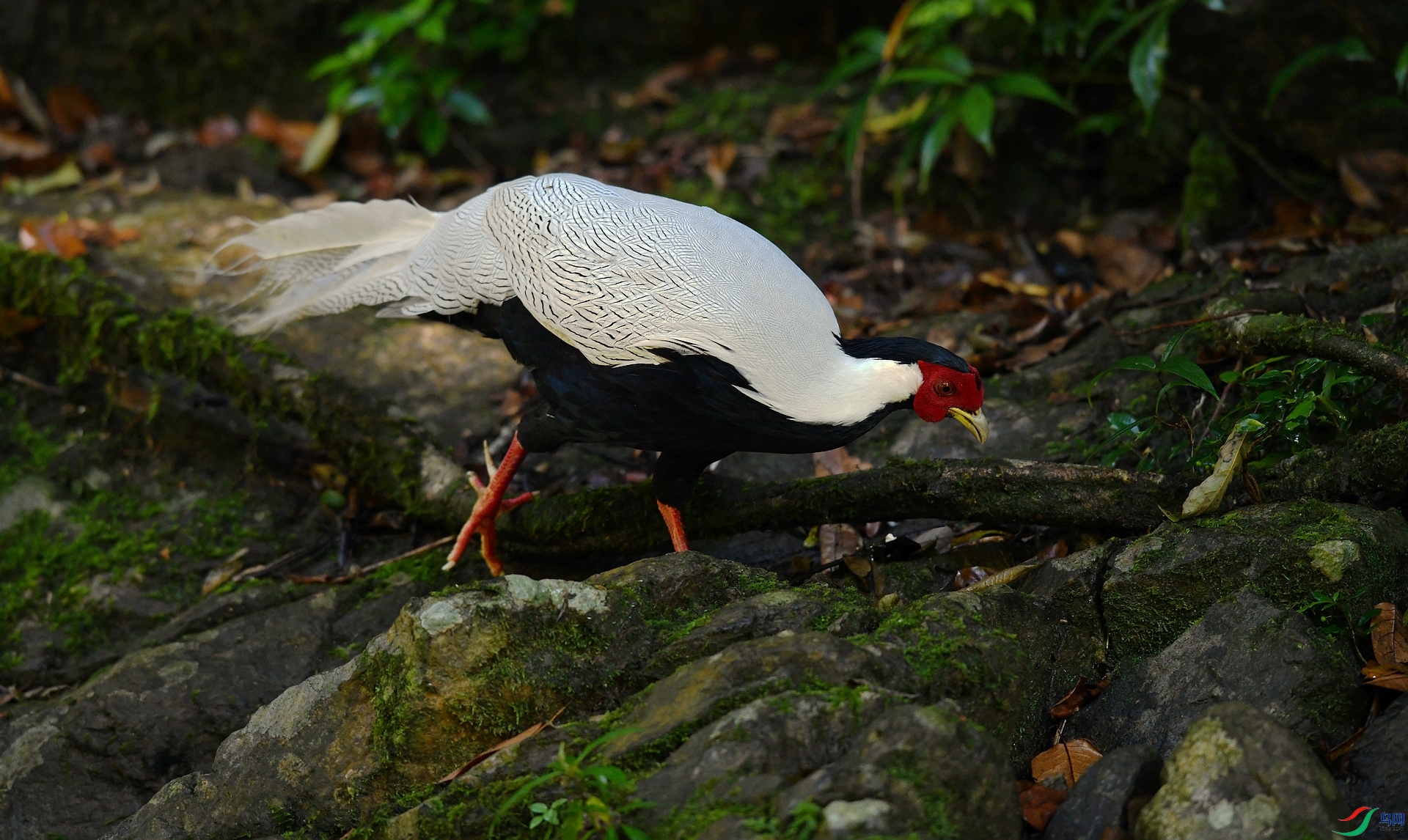 DSC_4430.jpg