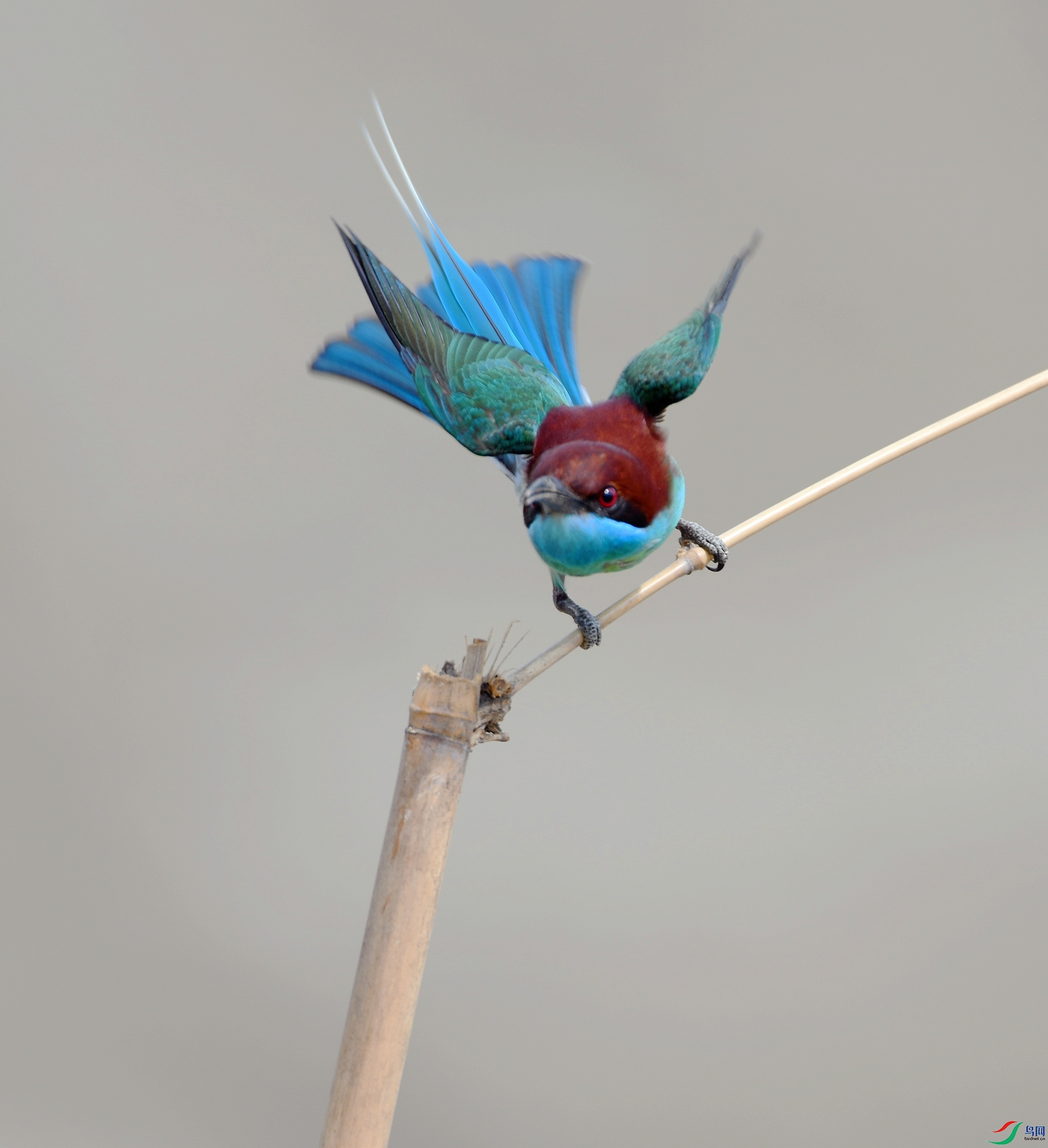 DSC_4221.jpg