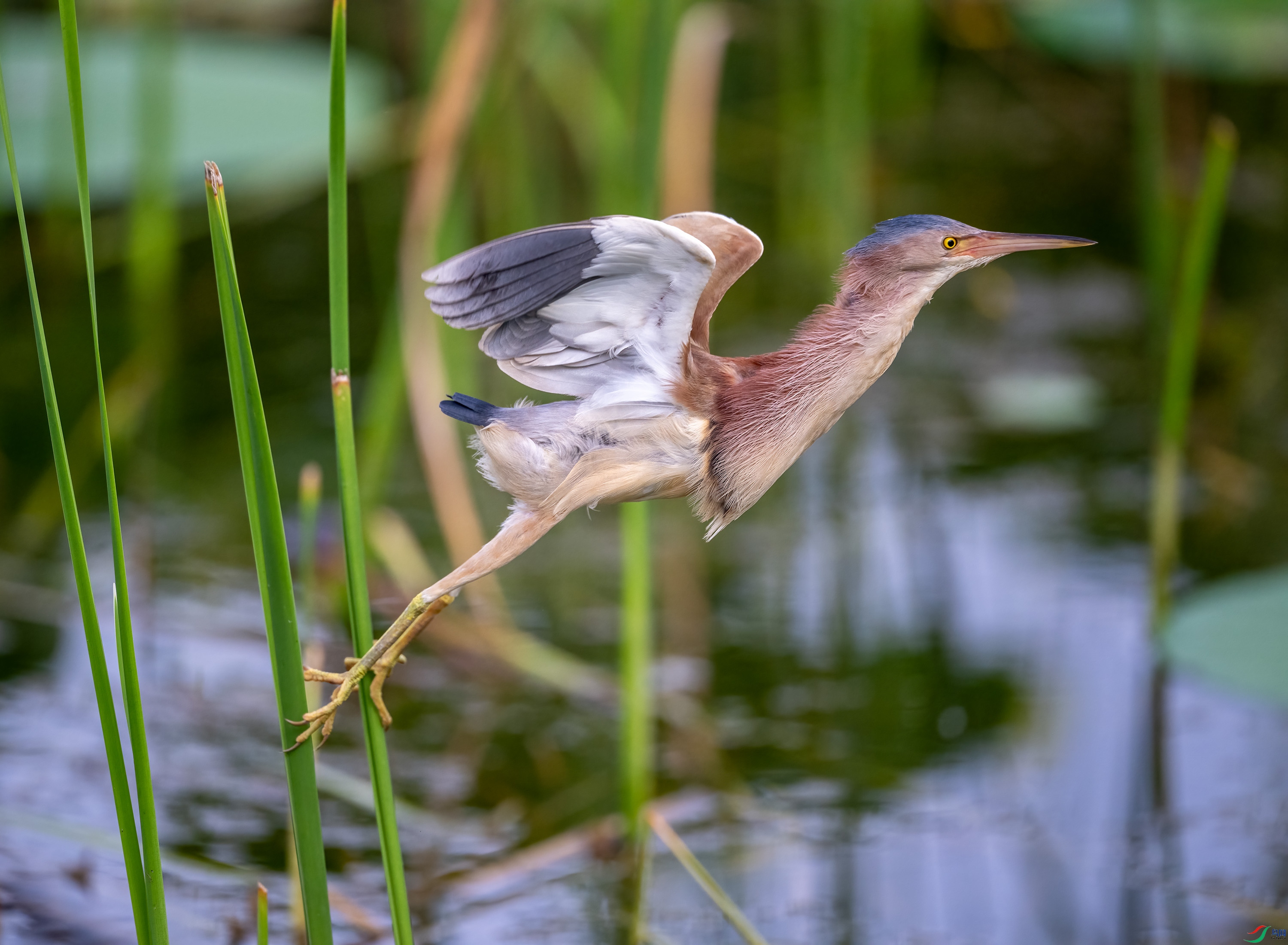 _DSC5430-.jpg