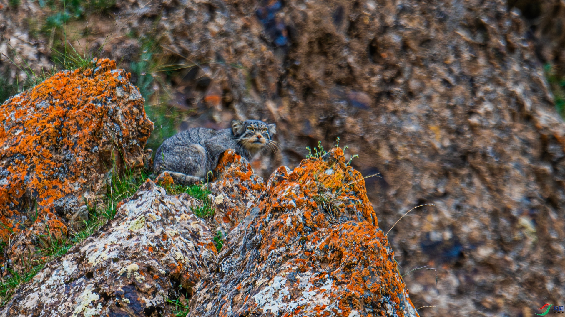DSC_6509 ����_����.jpg