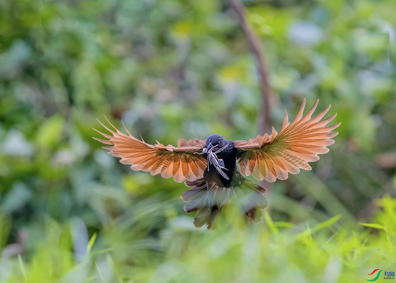 DSC_7791.jpg