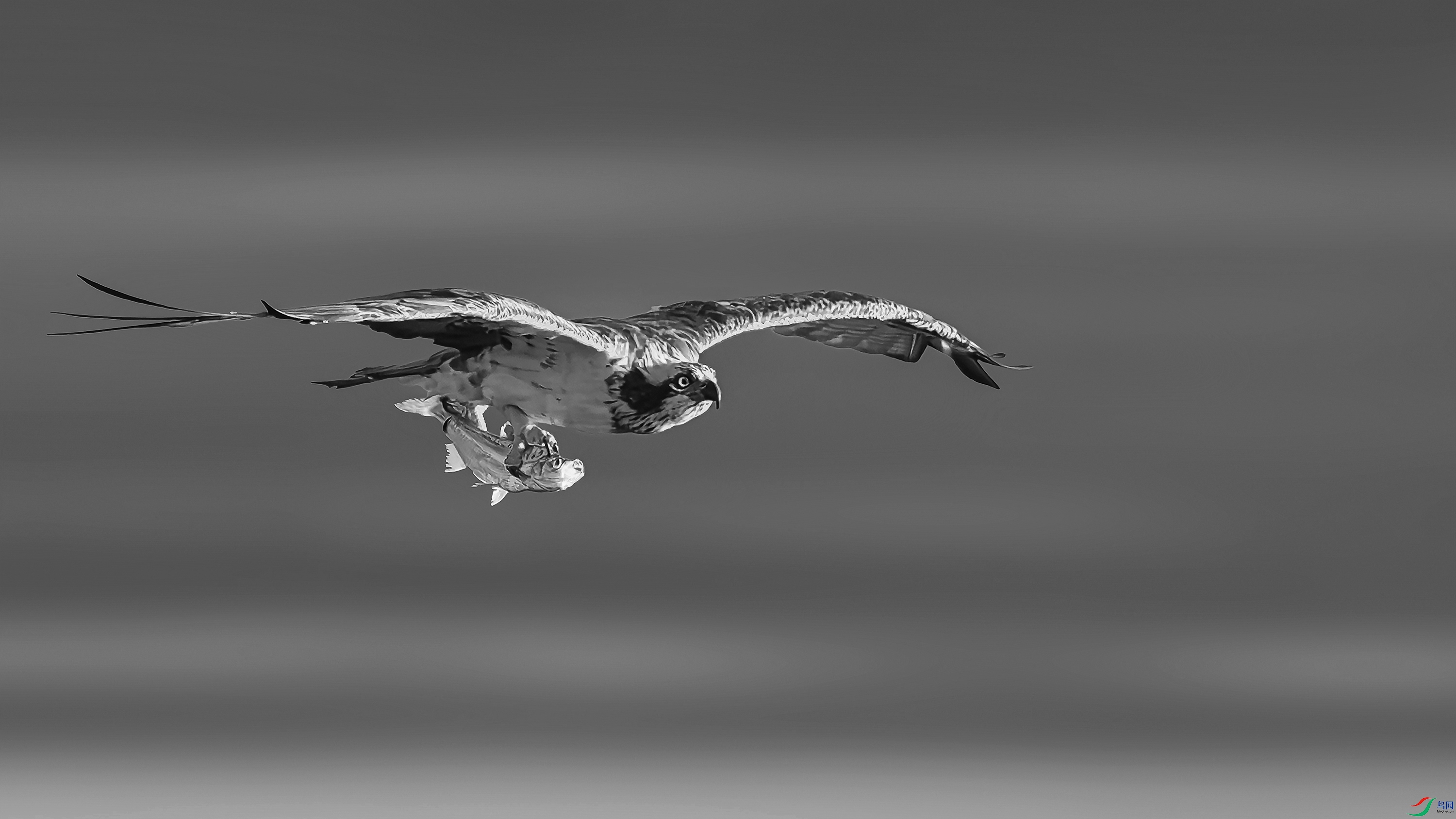 CQ0I8840-h.jpg