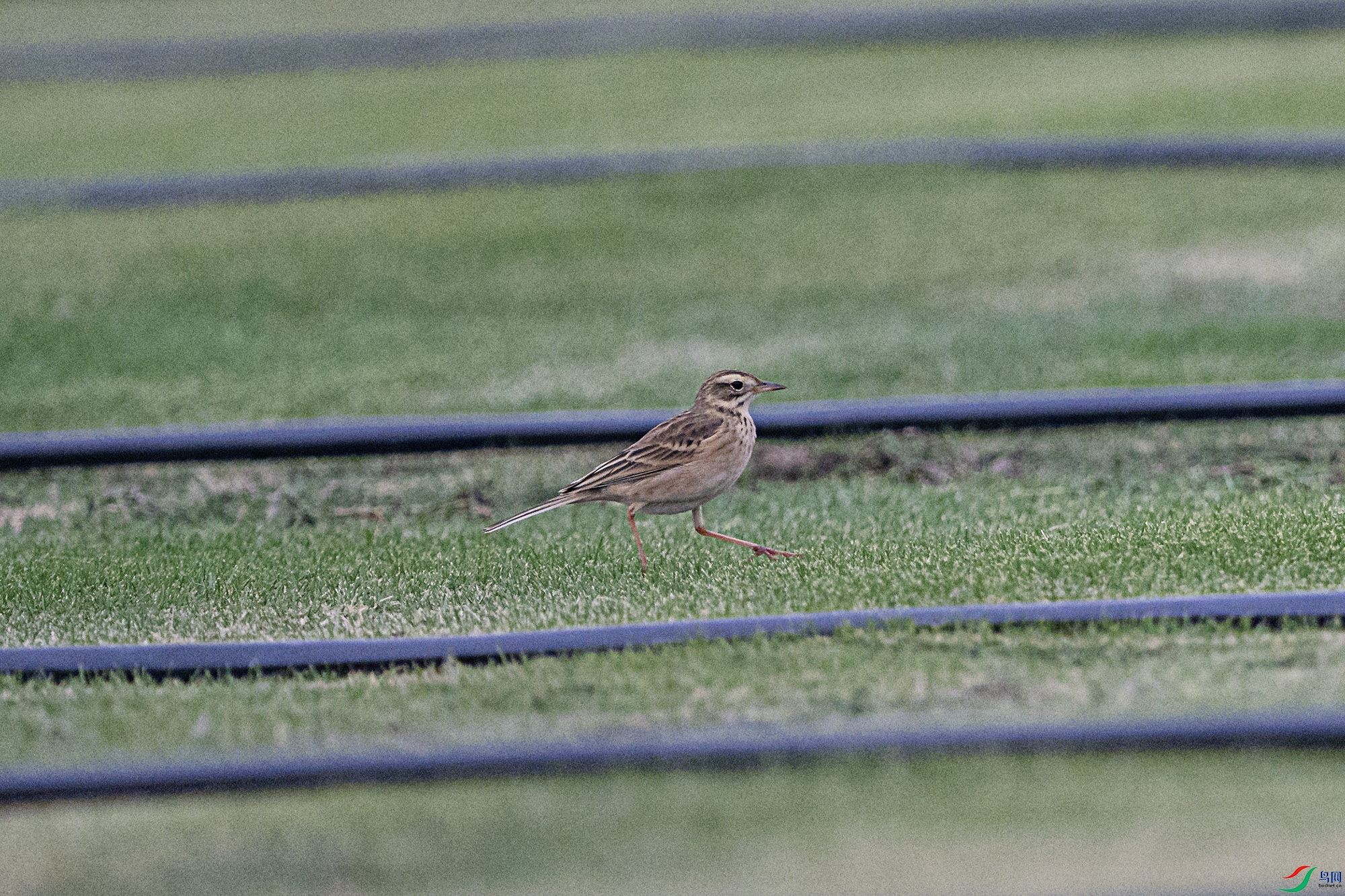 DSC_3062.jpg