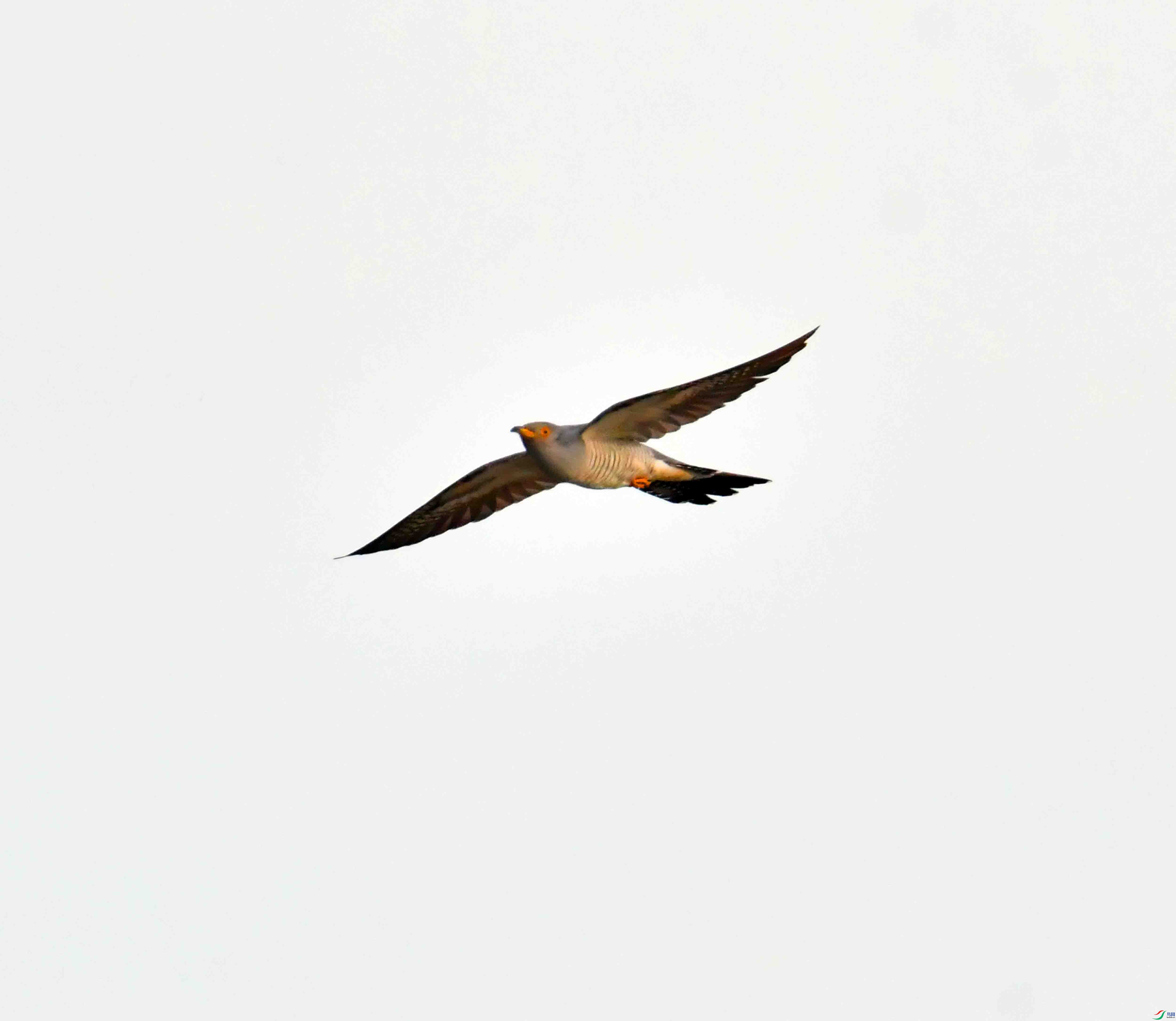 DSC_6274.JPG