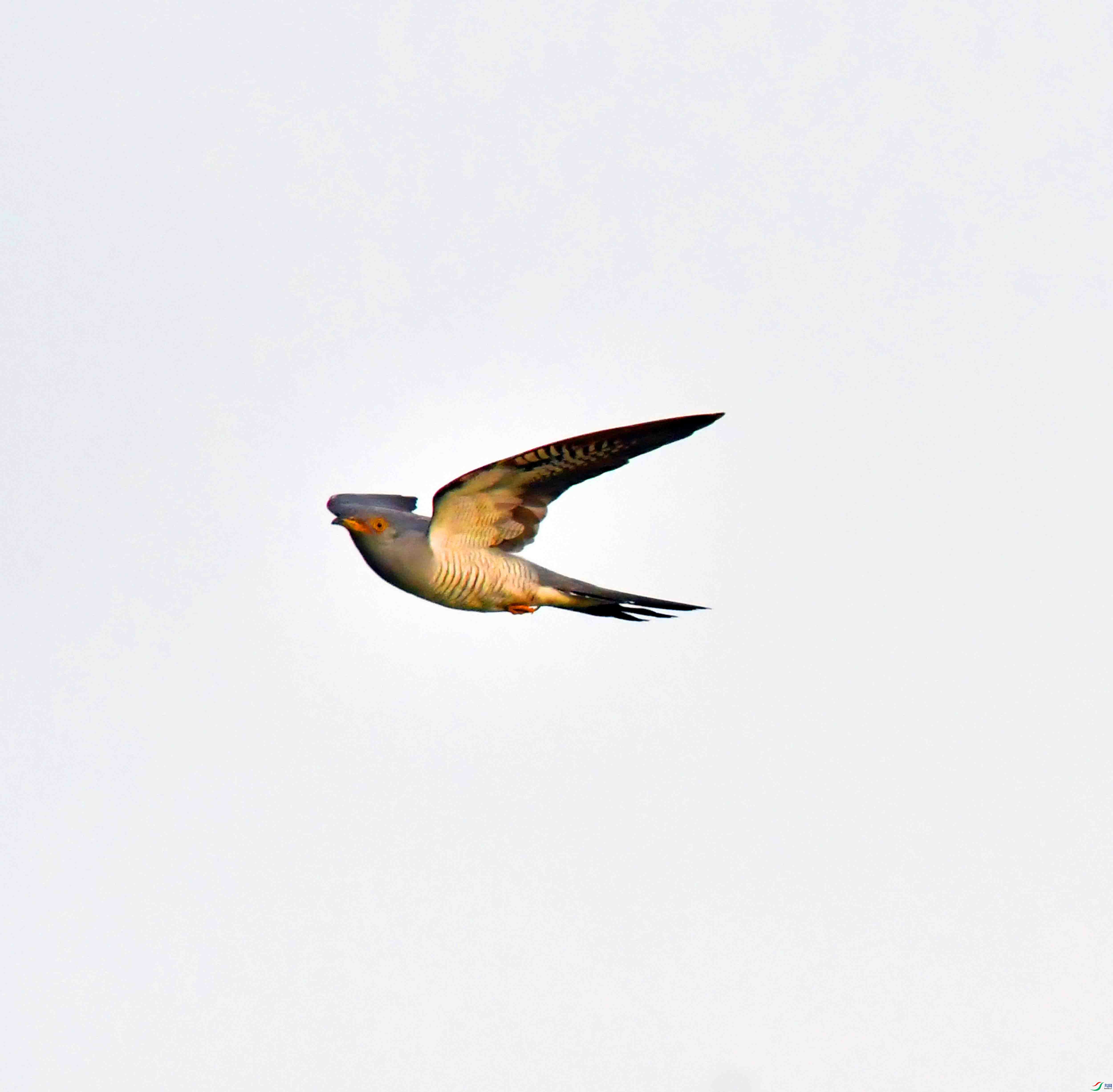 DSC_6278.JPG