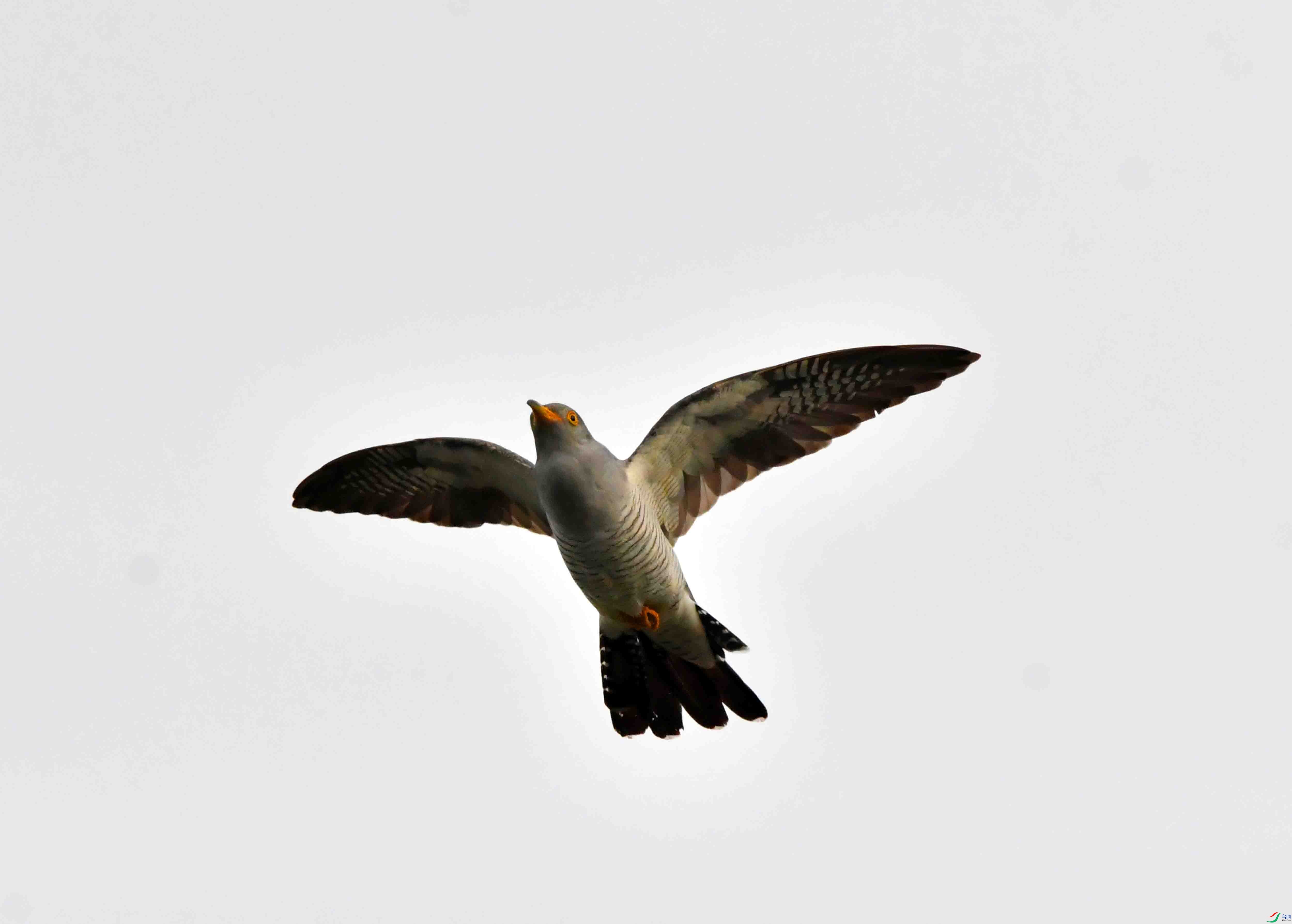 DSC_6292.JPG