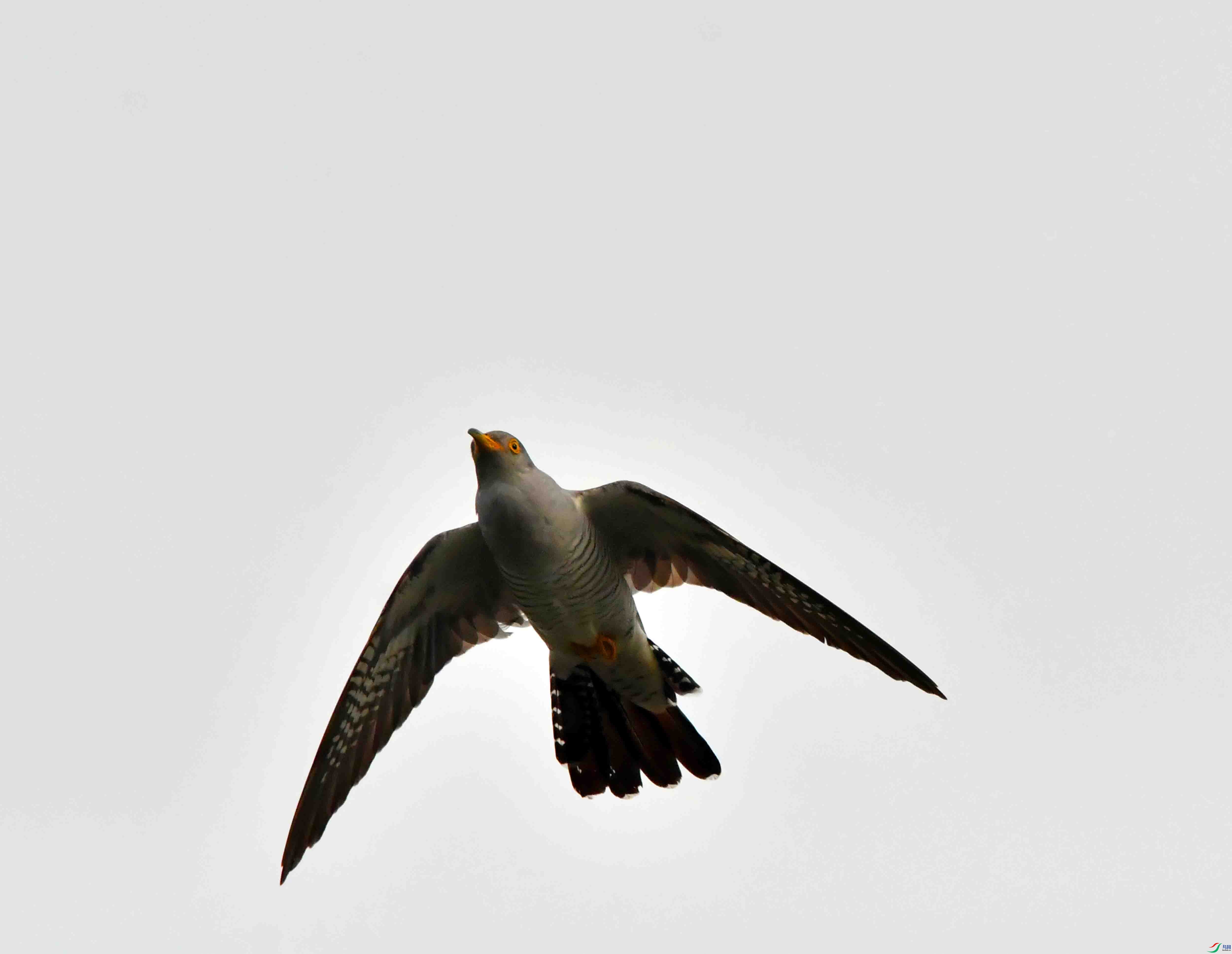 DSC_6293.JPG