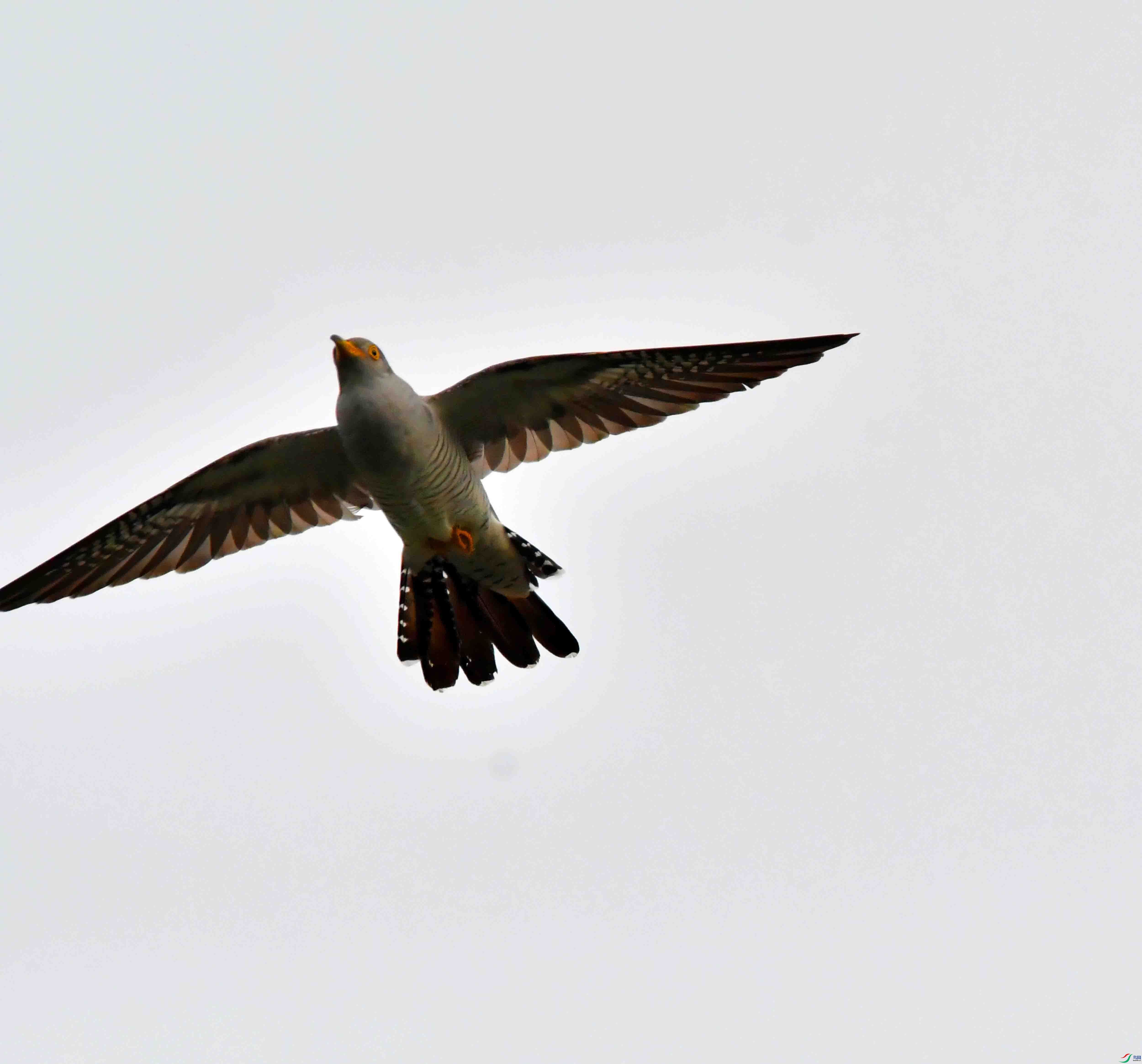 DSC_6294.JPG