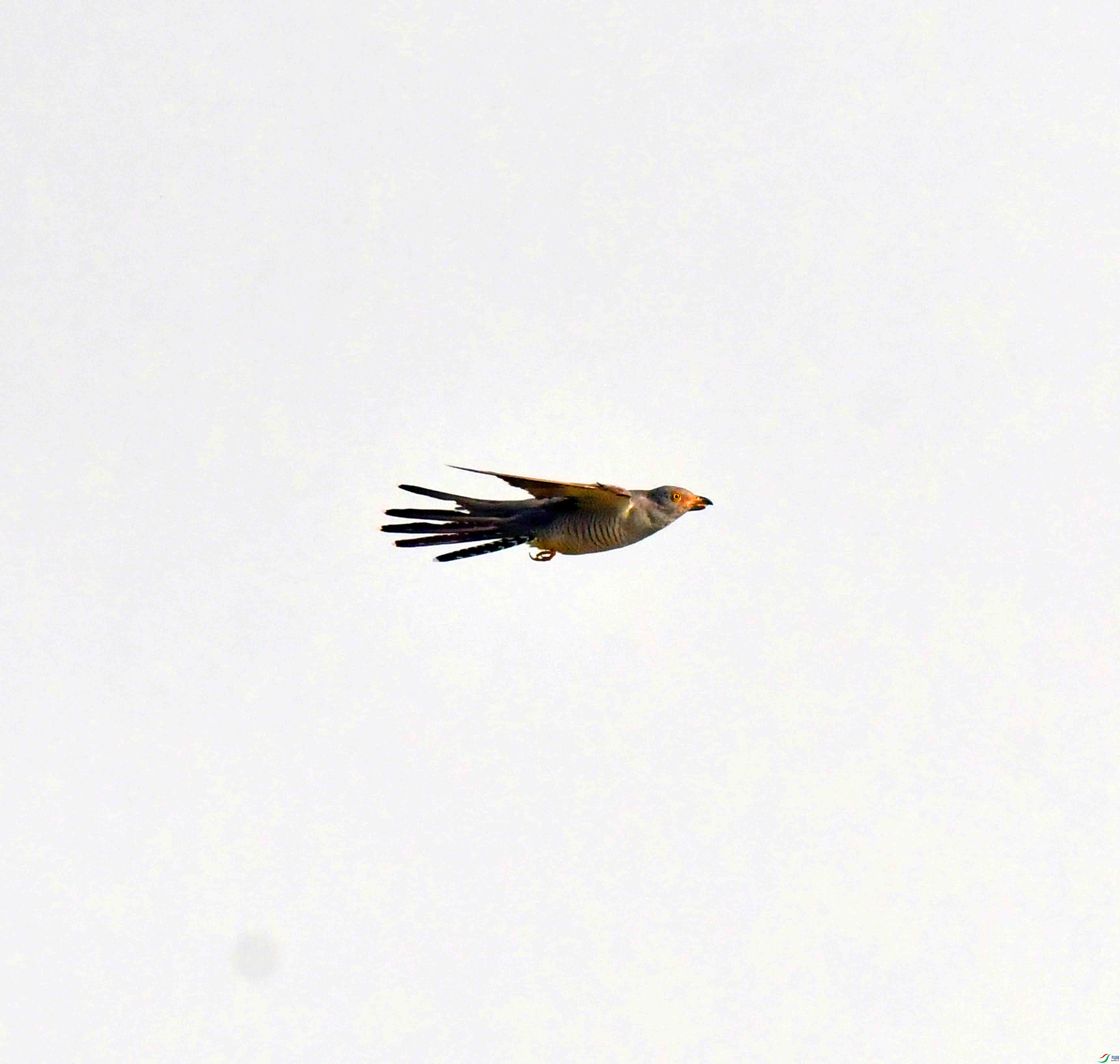 DSC_6740.JPG