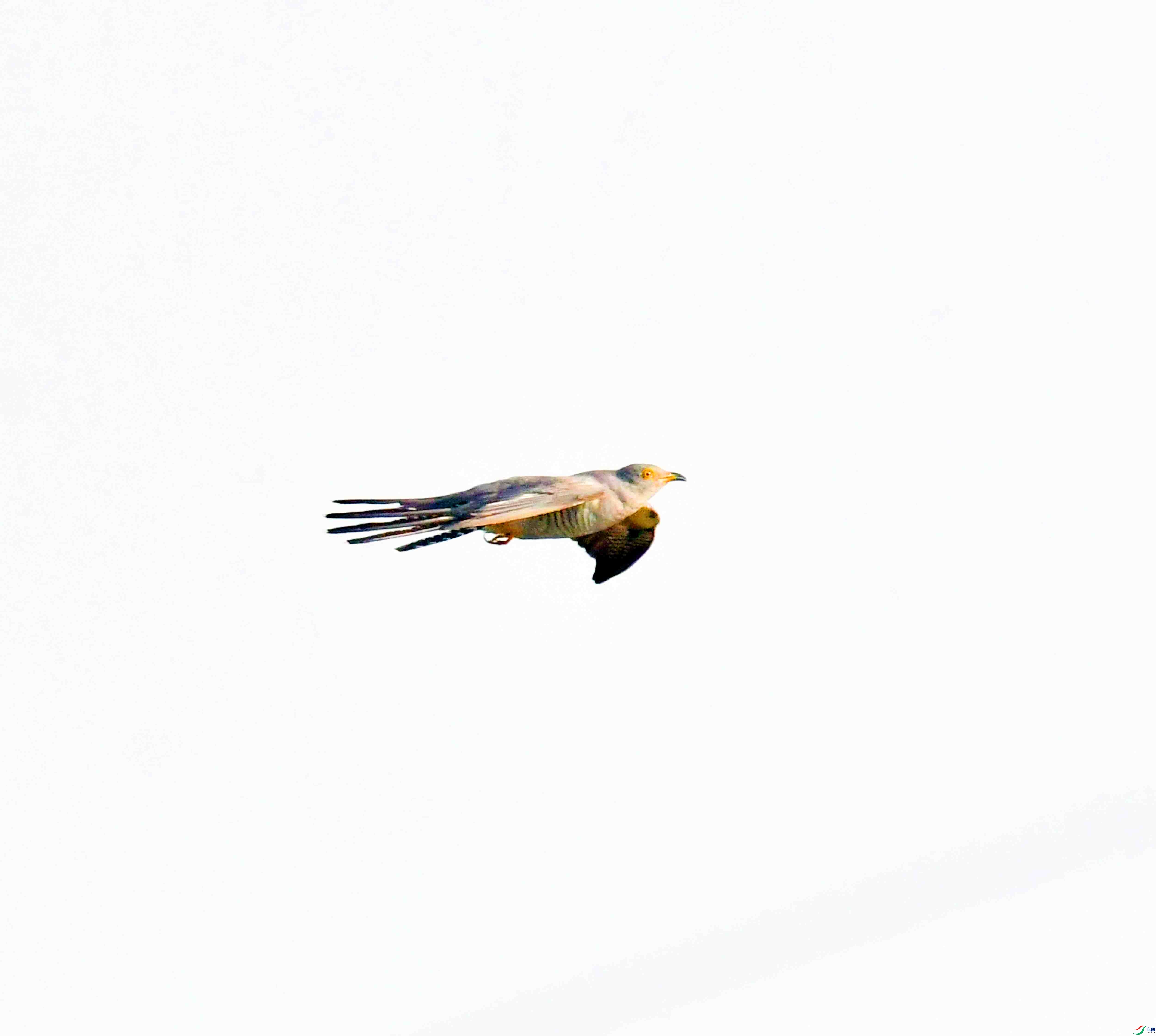 DSC_6741.JPG