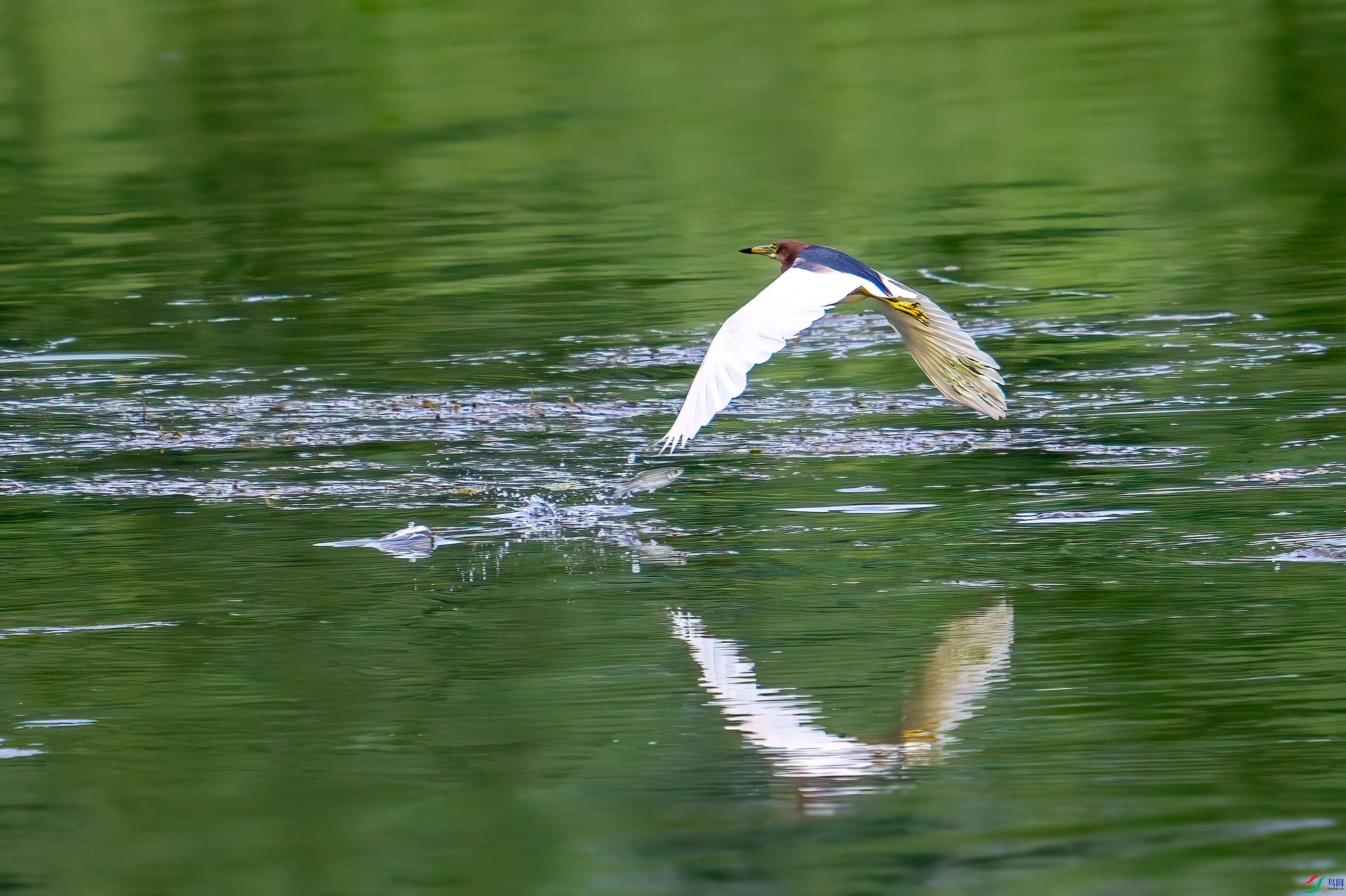 _DSC7450.jpg