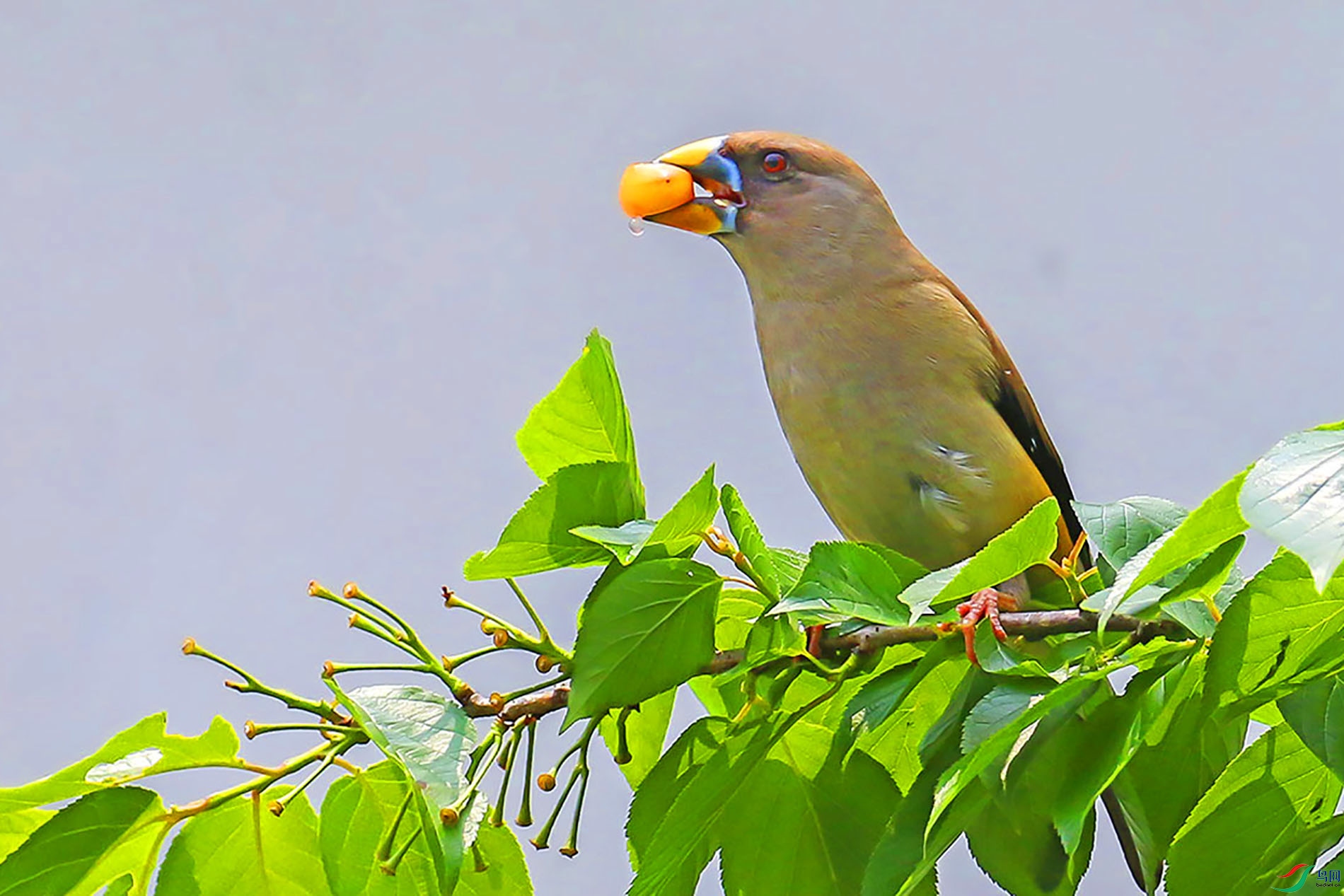 3D1A7109.JPG