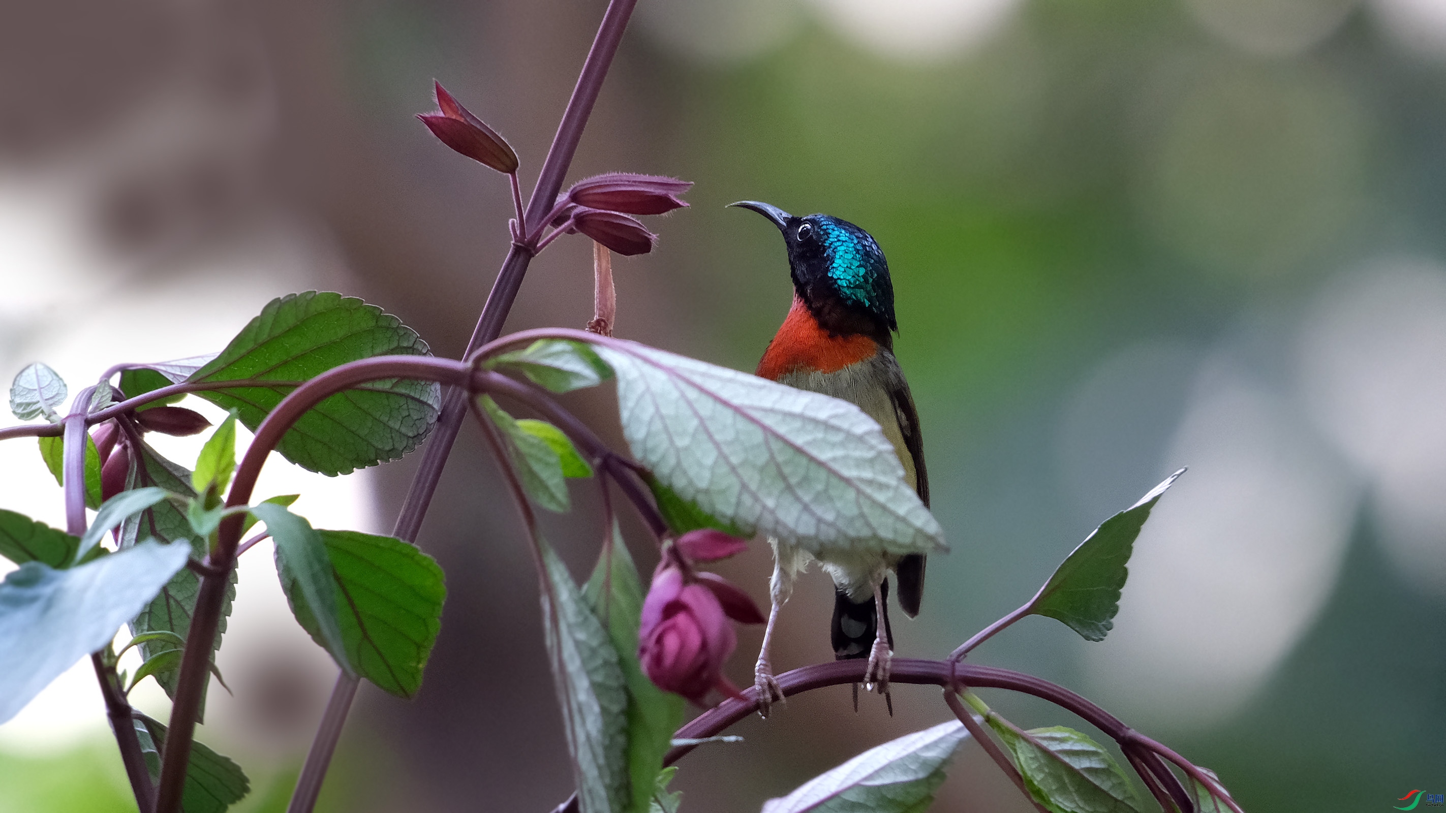 DSCF8503����.jpg