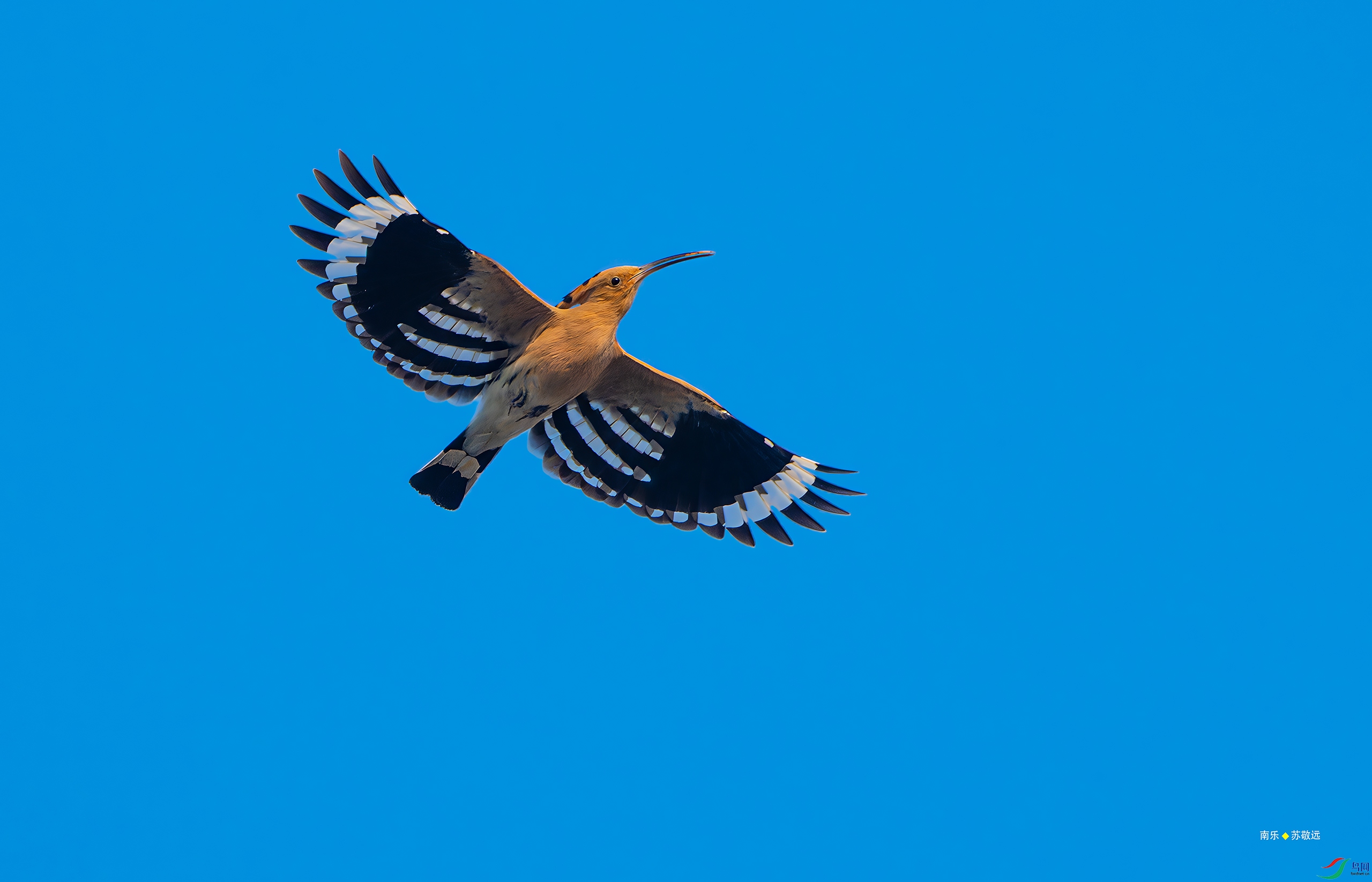 _DSC2701-DxO_С.jpg