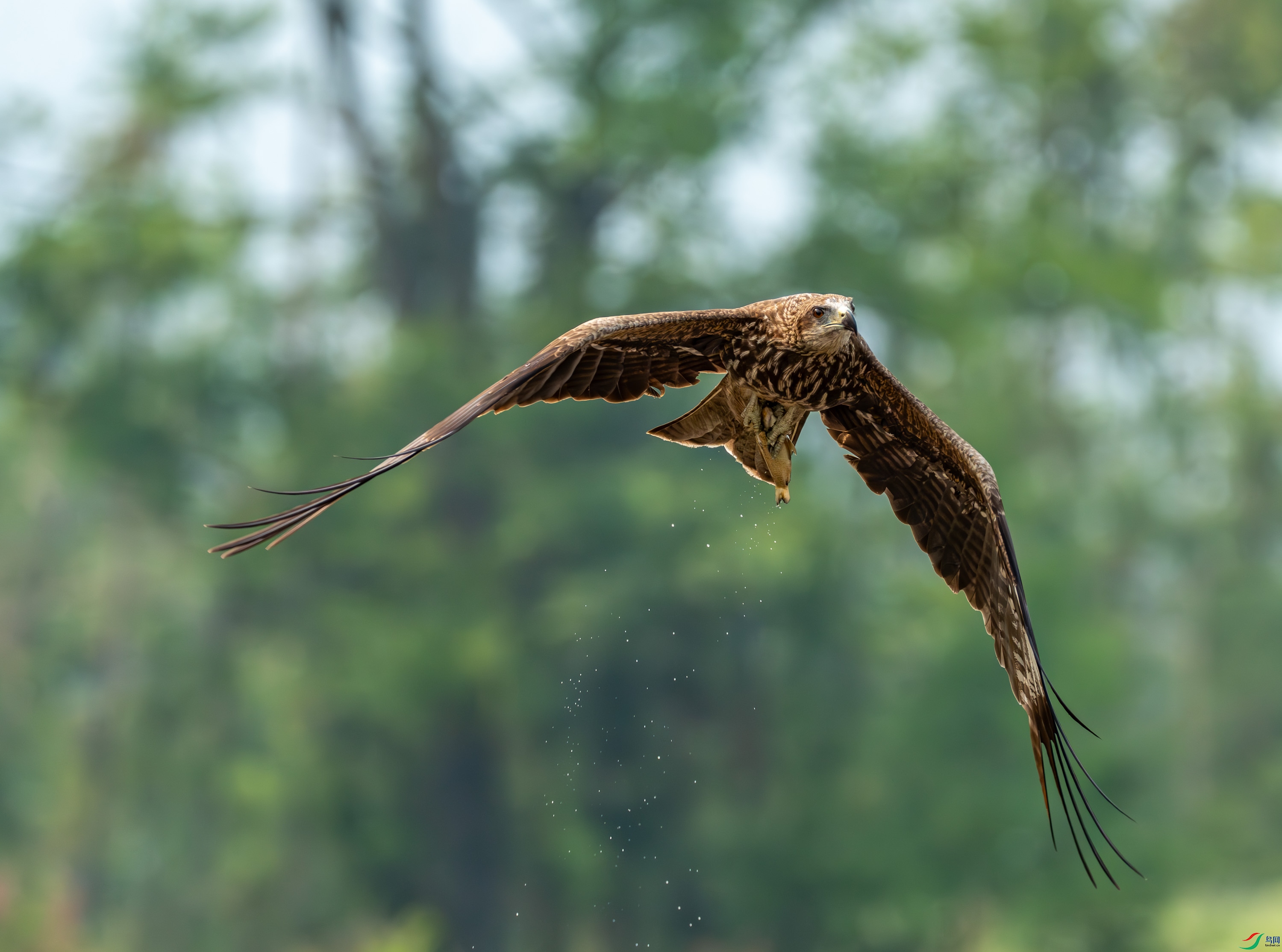��� (11 - 52).jpg