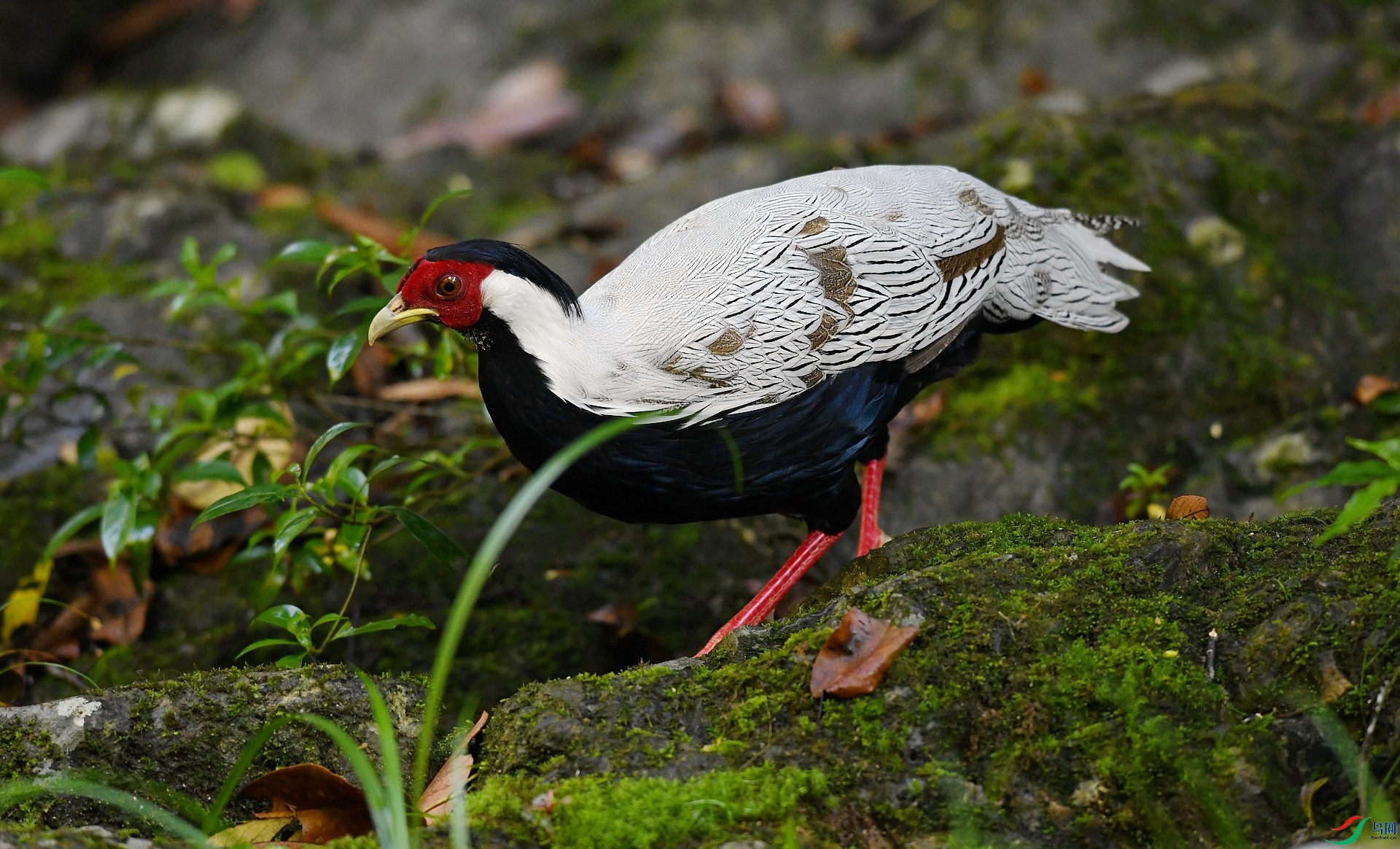 DSC_5048.jpg