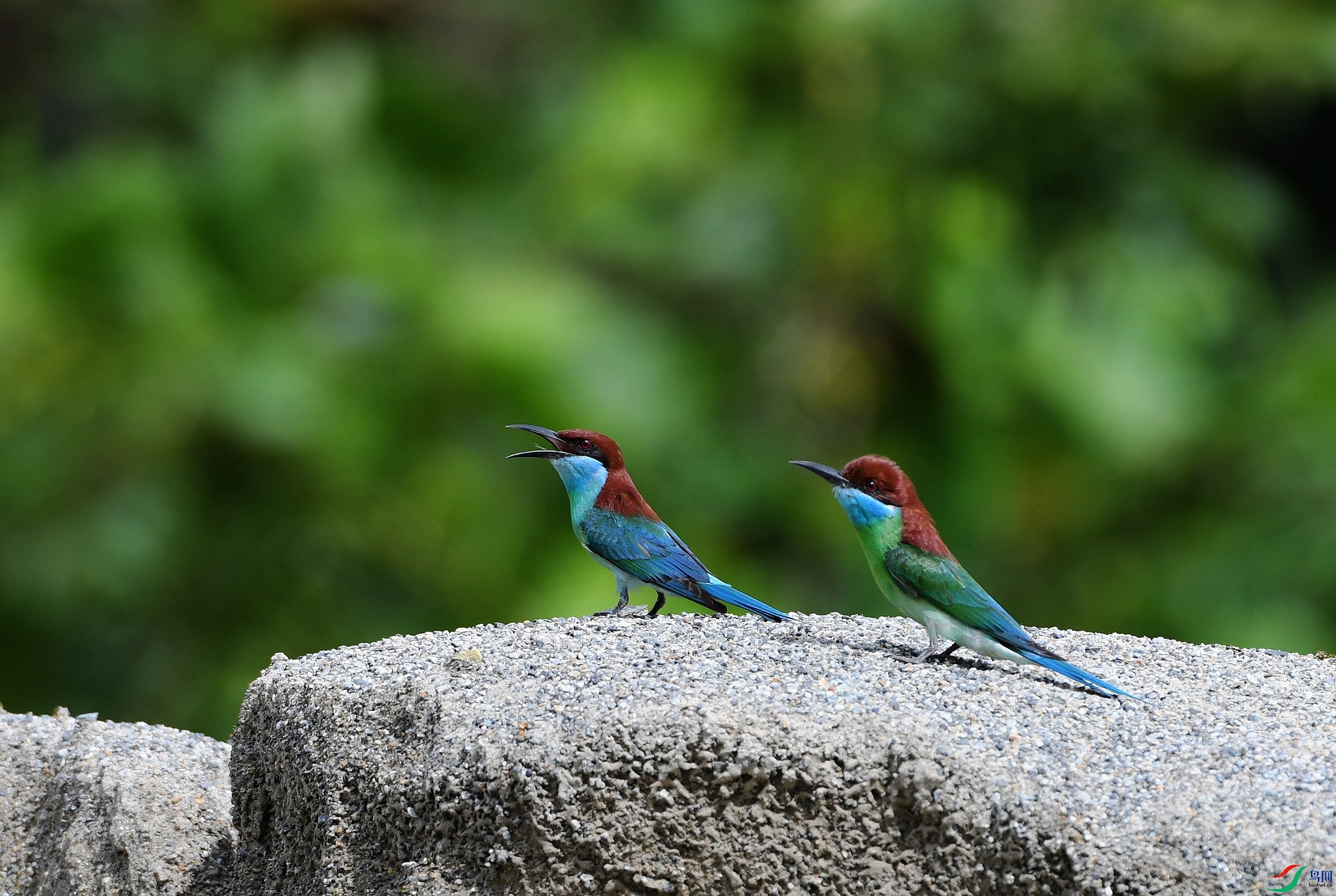 DSC_4126.jpg
