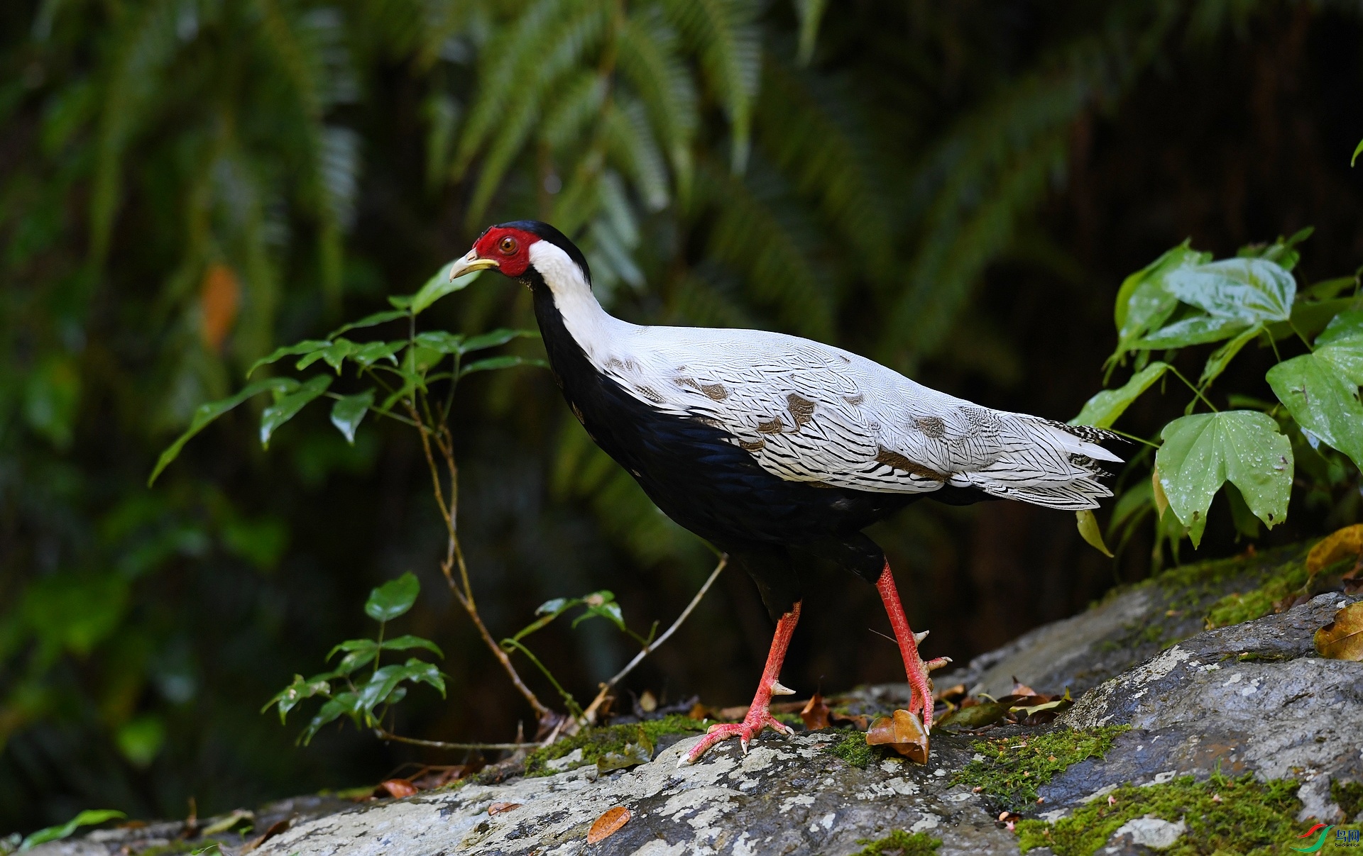DSC_4331.jpg