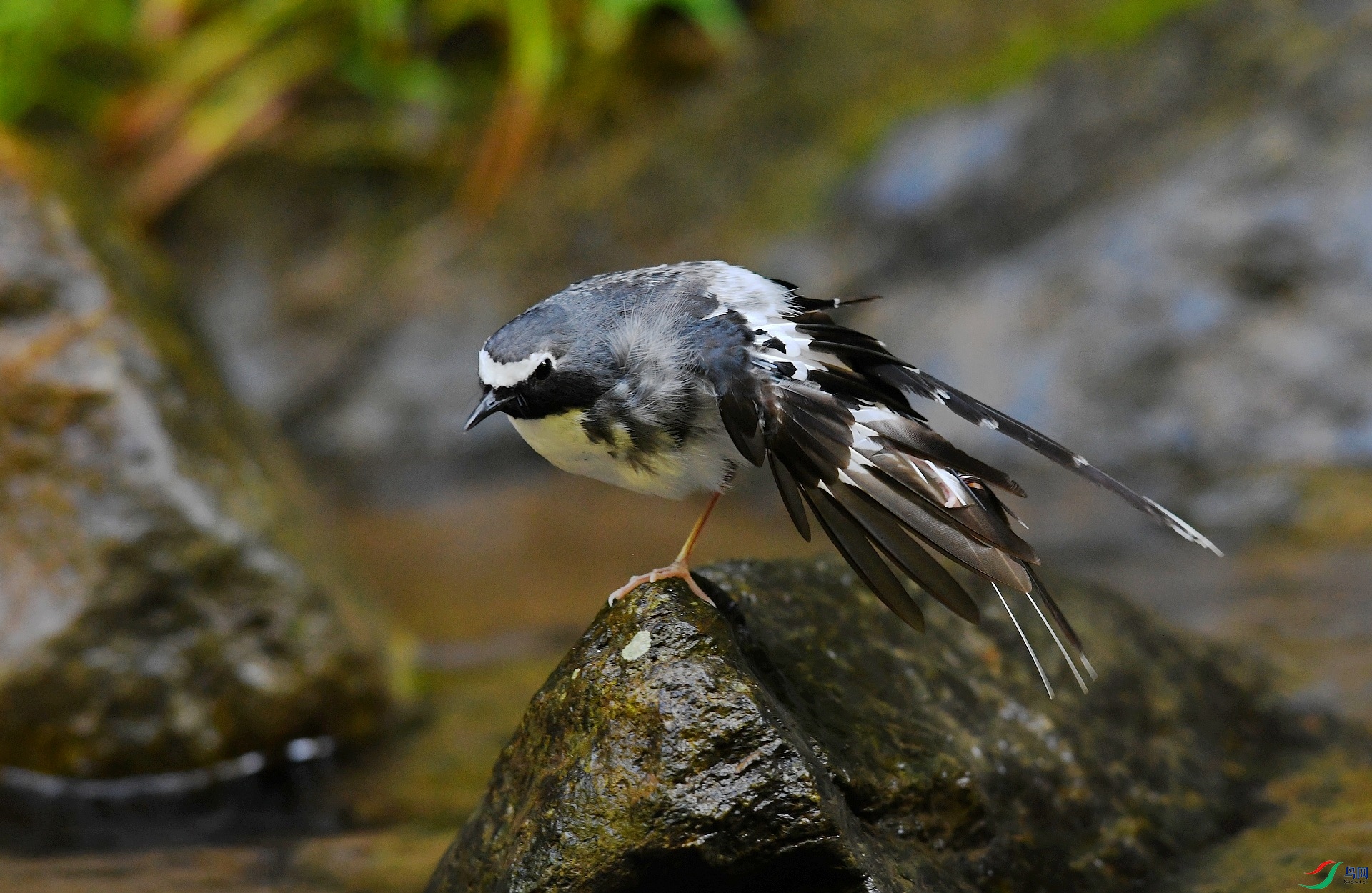 DSC_5004.jpg
