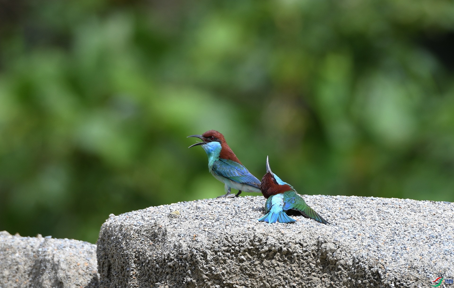 DSC_4113.jpg