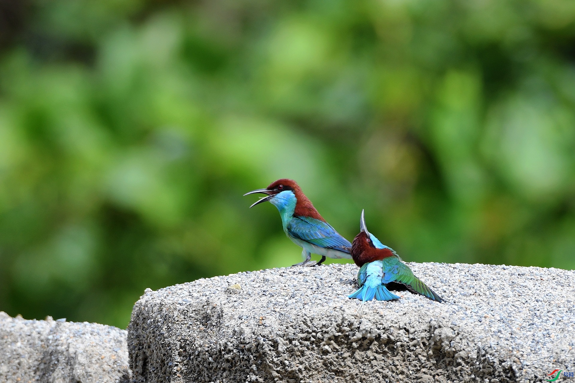 DSC_4111.jpg